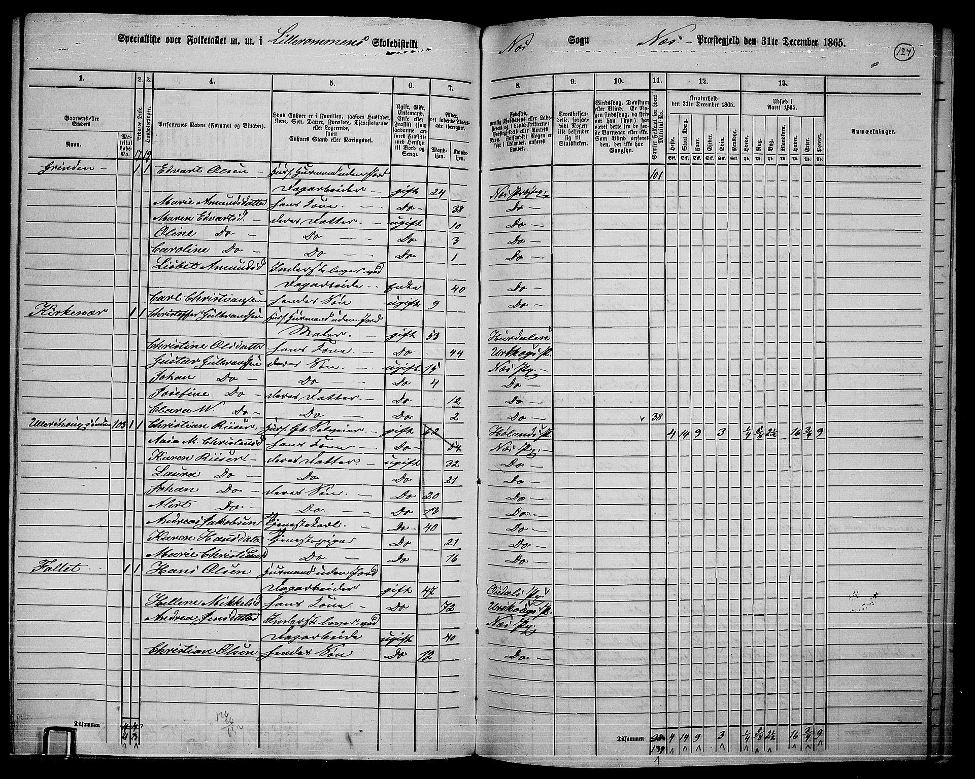 RA, 1865 census for Nes, 1865, p. 114