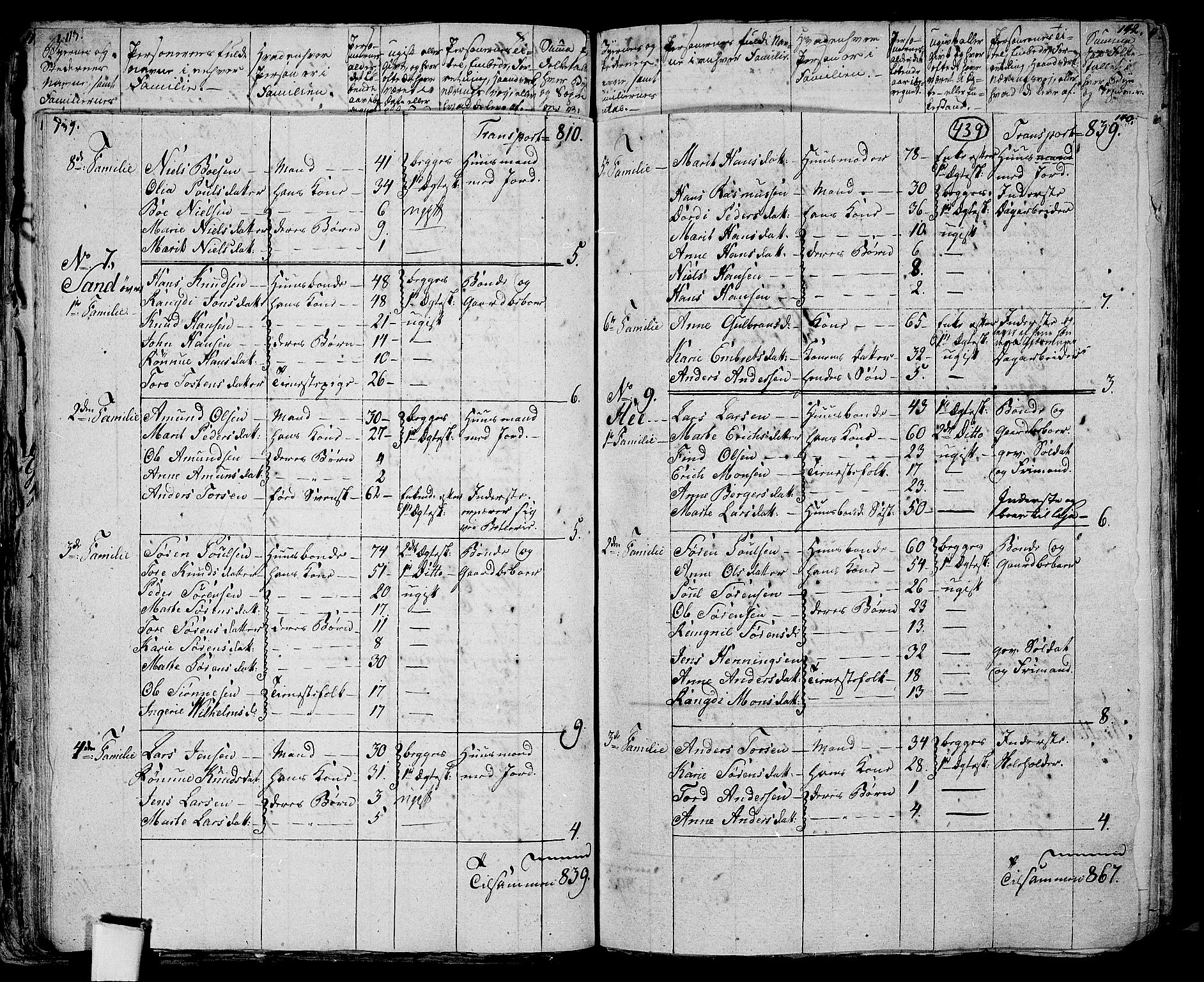 RA, 1801 census for 0419P Strøm, 1801, p. 438b-439a