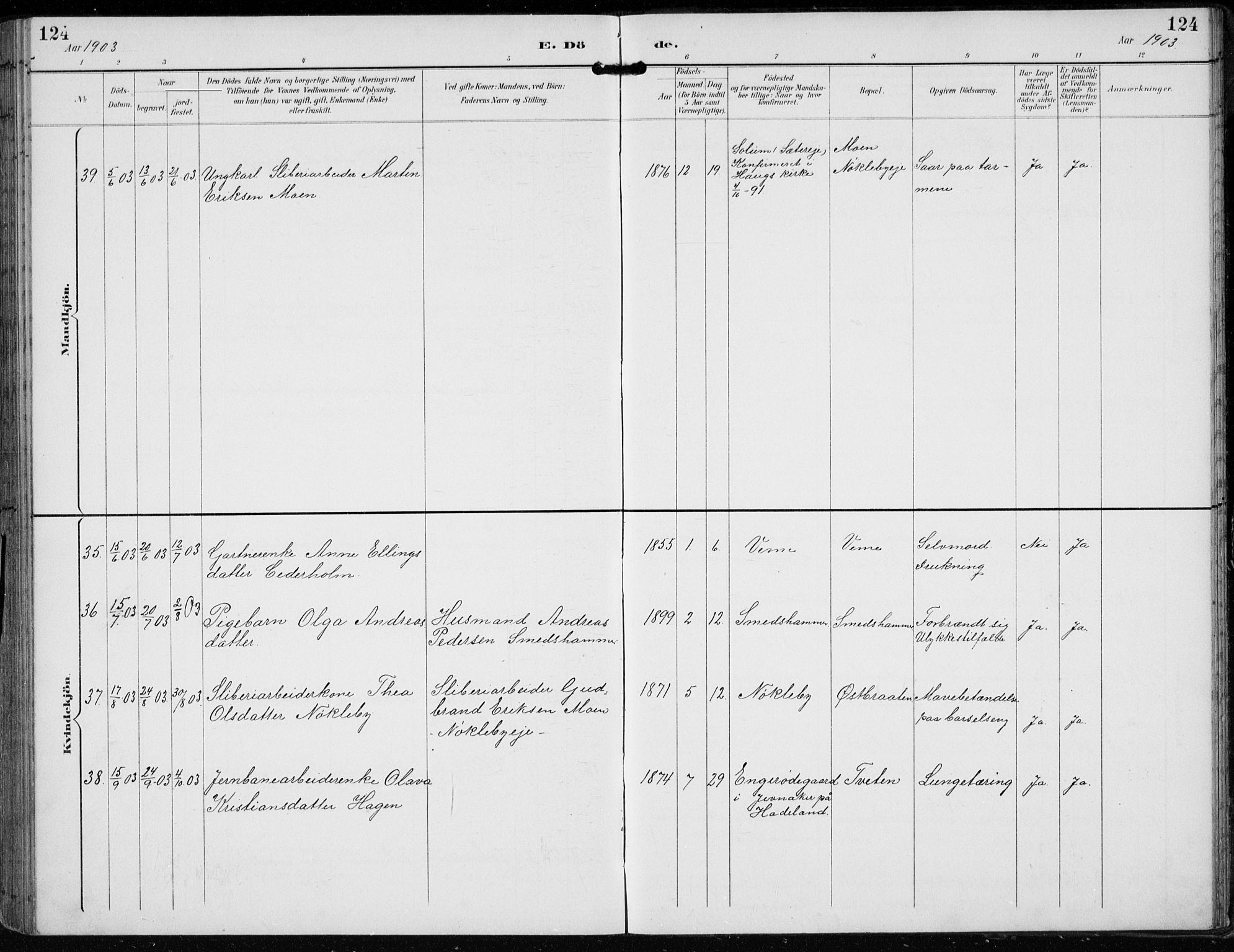 Lunder kirkebøker, AV/SAKO-A-629/F/Fb/L0001: Parish register (official) no. II 1, 1893-1916, p. 124