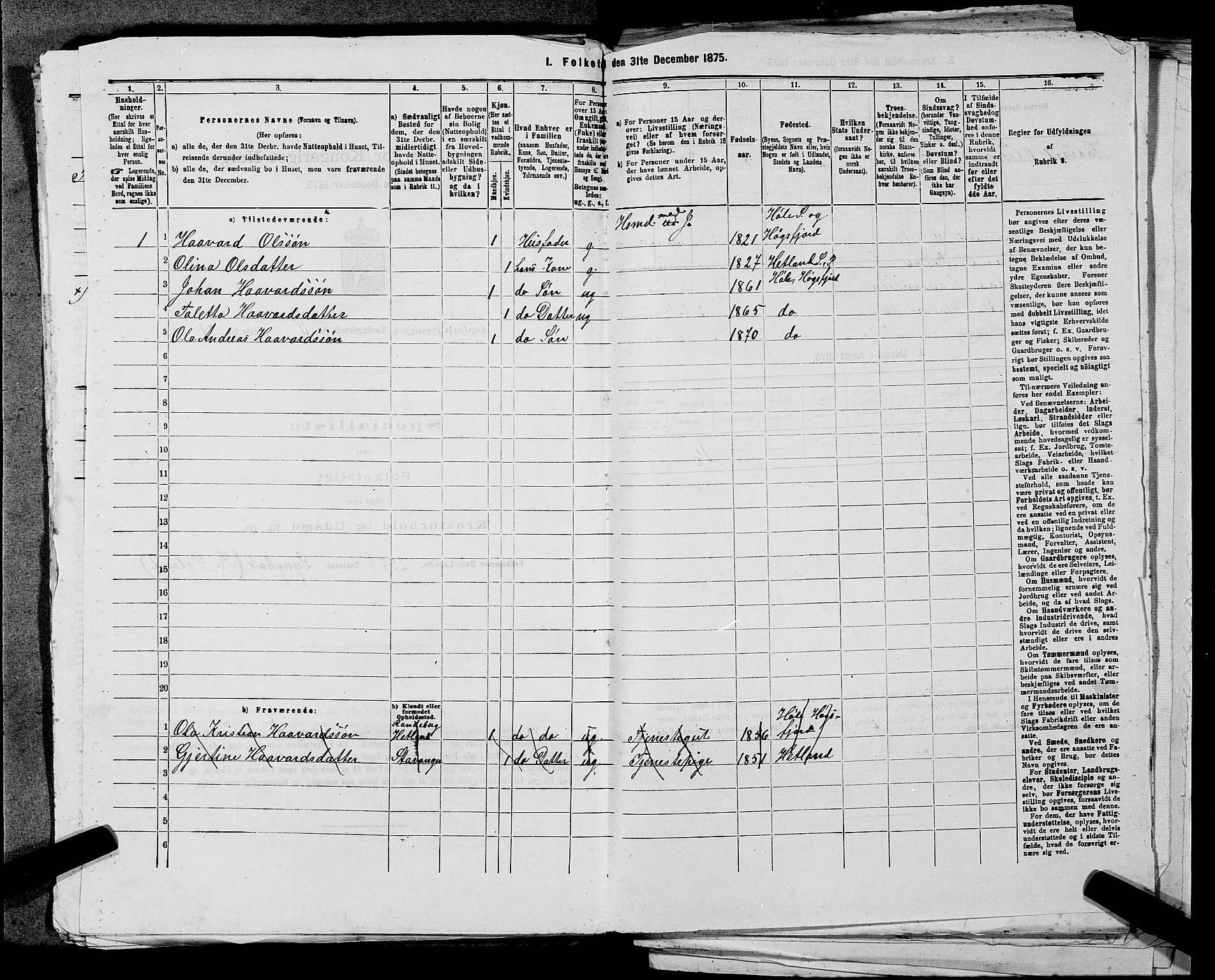 SAST, 1875 census for 1128P Høgsfjord, 1875, p. 998