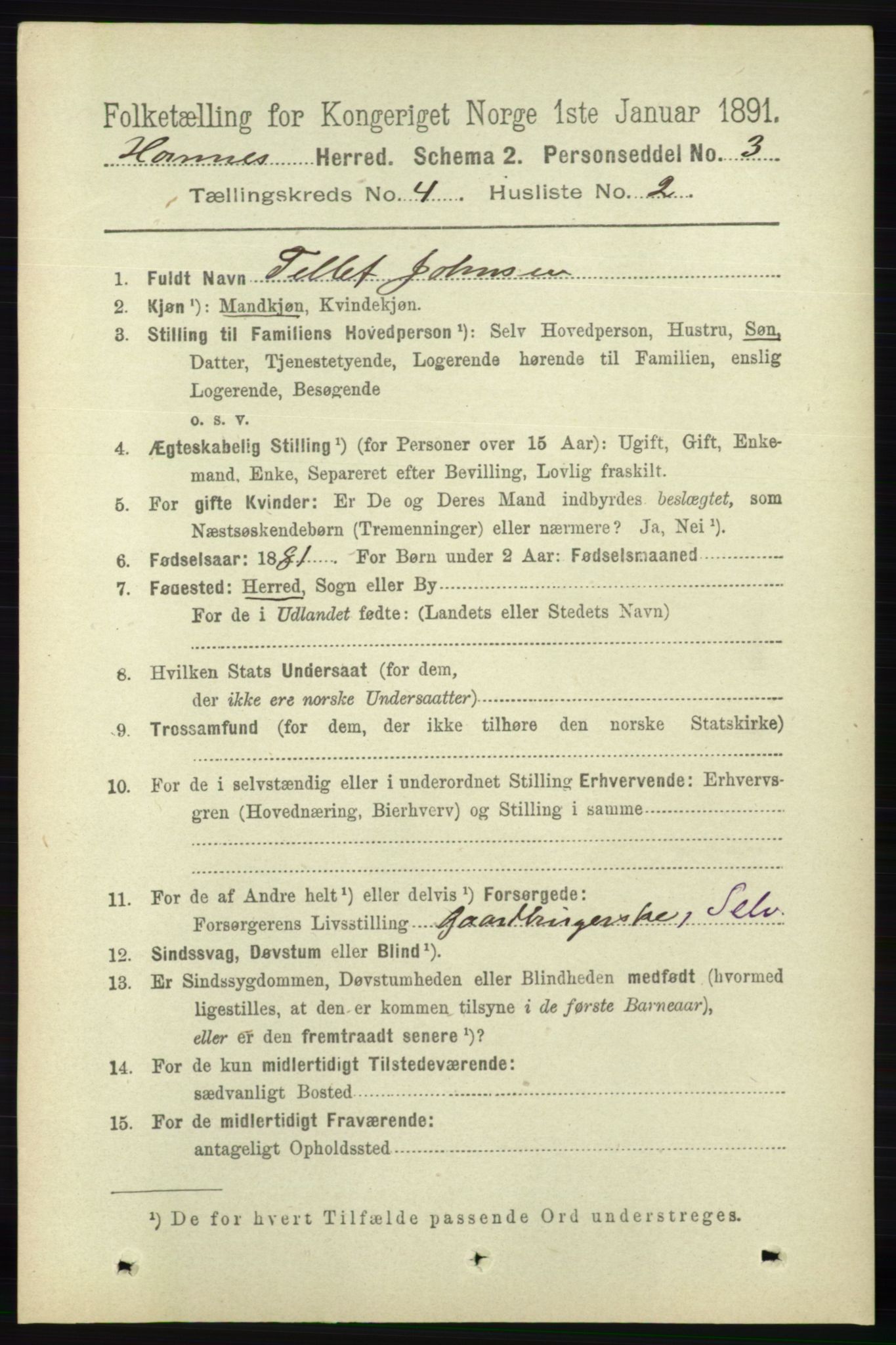 RA, 1891 census for 0936 Hornnes, 1891, p. 1060