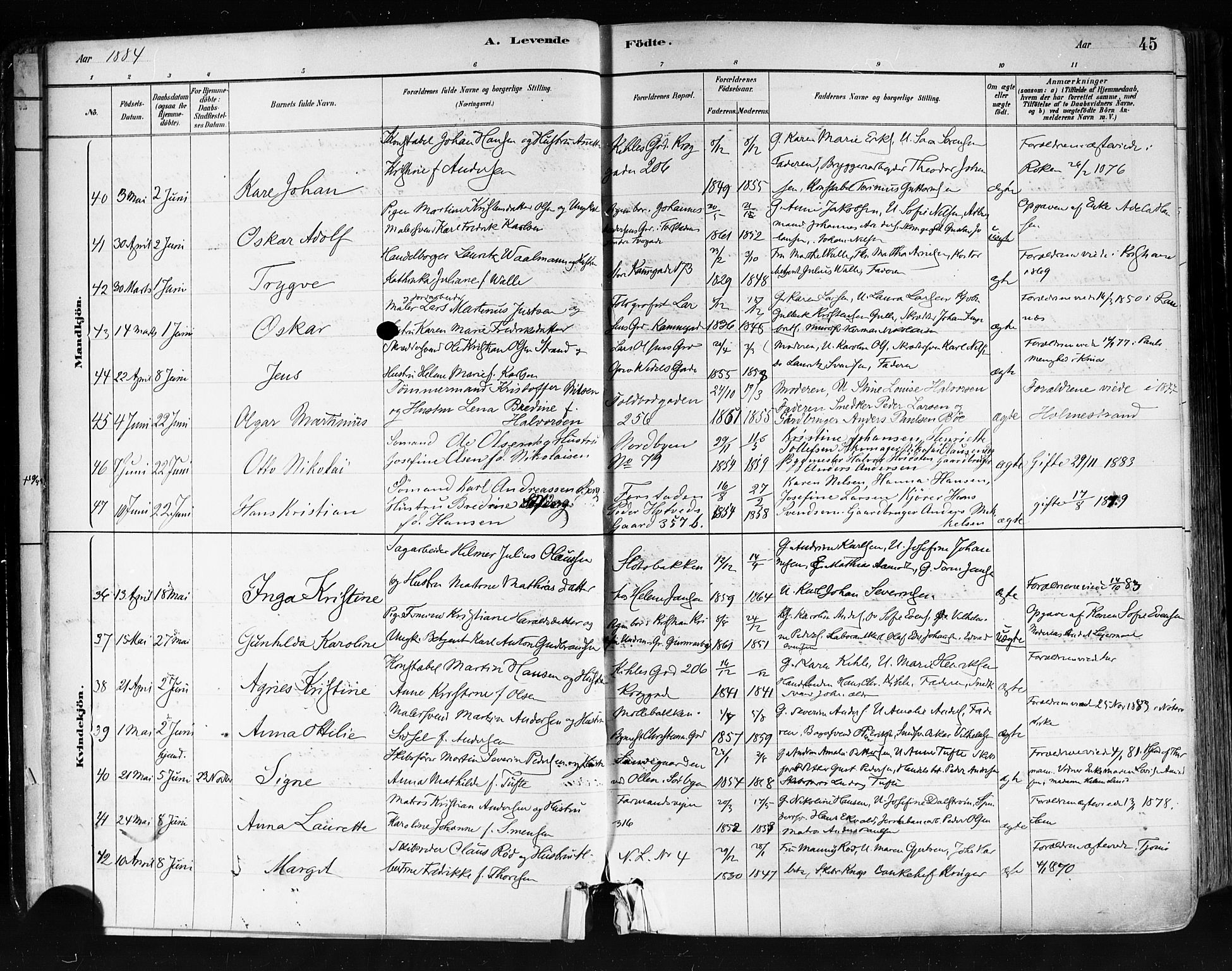 Tønsberg kirkebøker, SAKO/A-330/F/Fa/L0011: Parish register (official) no. I 11, 1881-1890, p. 45