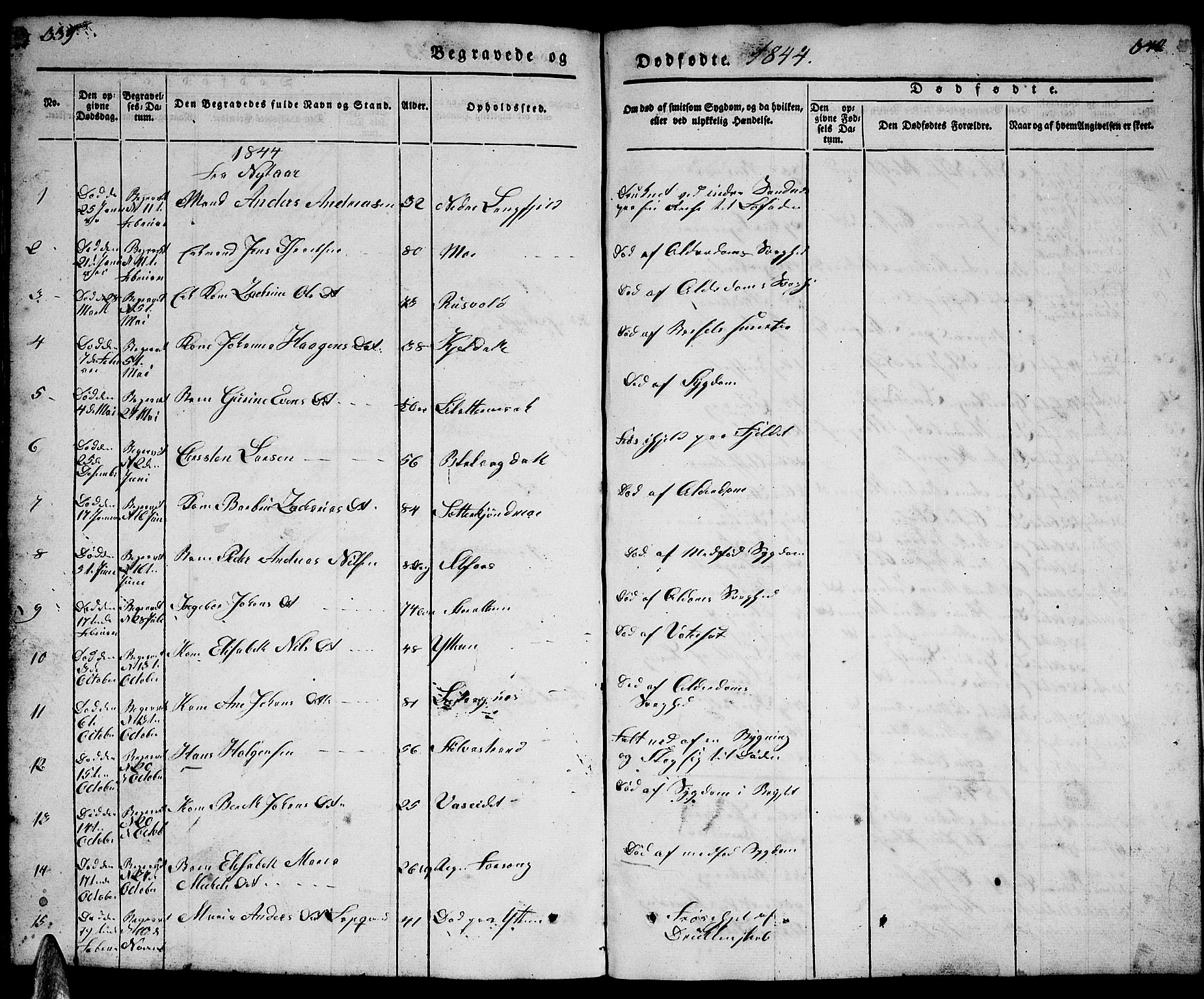 Ministerialprotokoller, klokkerbøker og fødselsregistre - Nordland, SAT/A-1459/827/L0413: Parish register (copy) no. 827C02, 1842-1852, p. 339-340