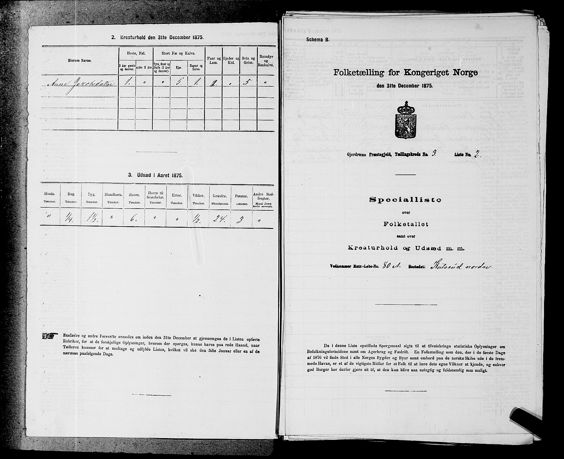 RA, 1875 census for 0234P Gjerdrum, 1875, p. 385