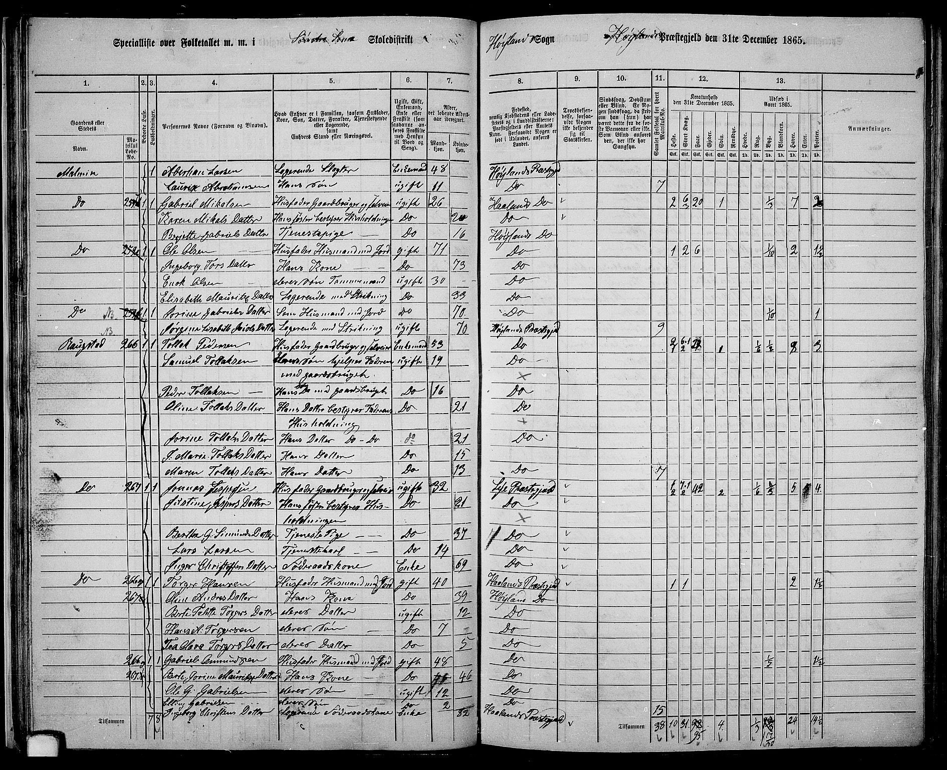 RA, 1865 census for Høyland, 1865, p. 33