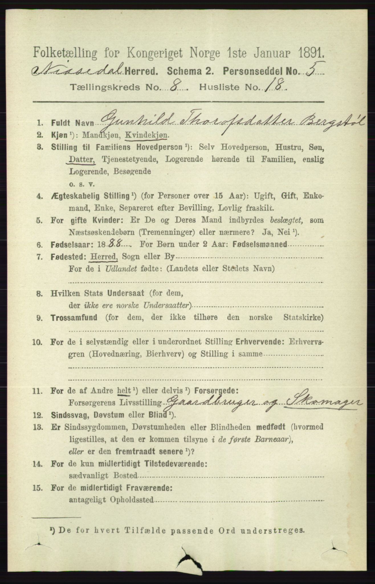 RA, 1891 census for 0830 Nissedal, 1891, p. 1801