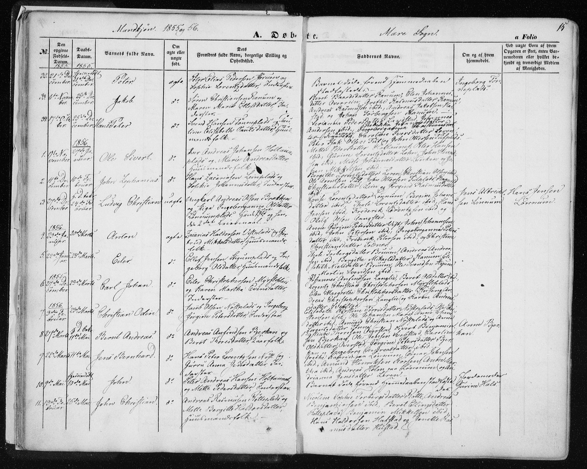 Ministerialprotokoller, klokkerbøker og fødselsregistre - Nord-Trøndelag, AV/SAT-A-1458/735/L0342: Parish register (official) no. 735A07 /1, 1849-1862, p. 15