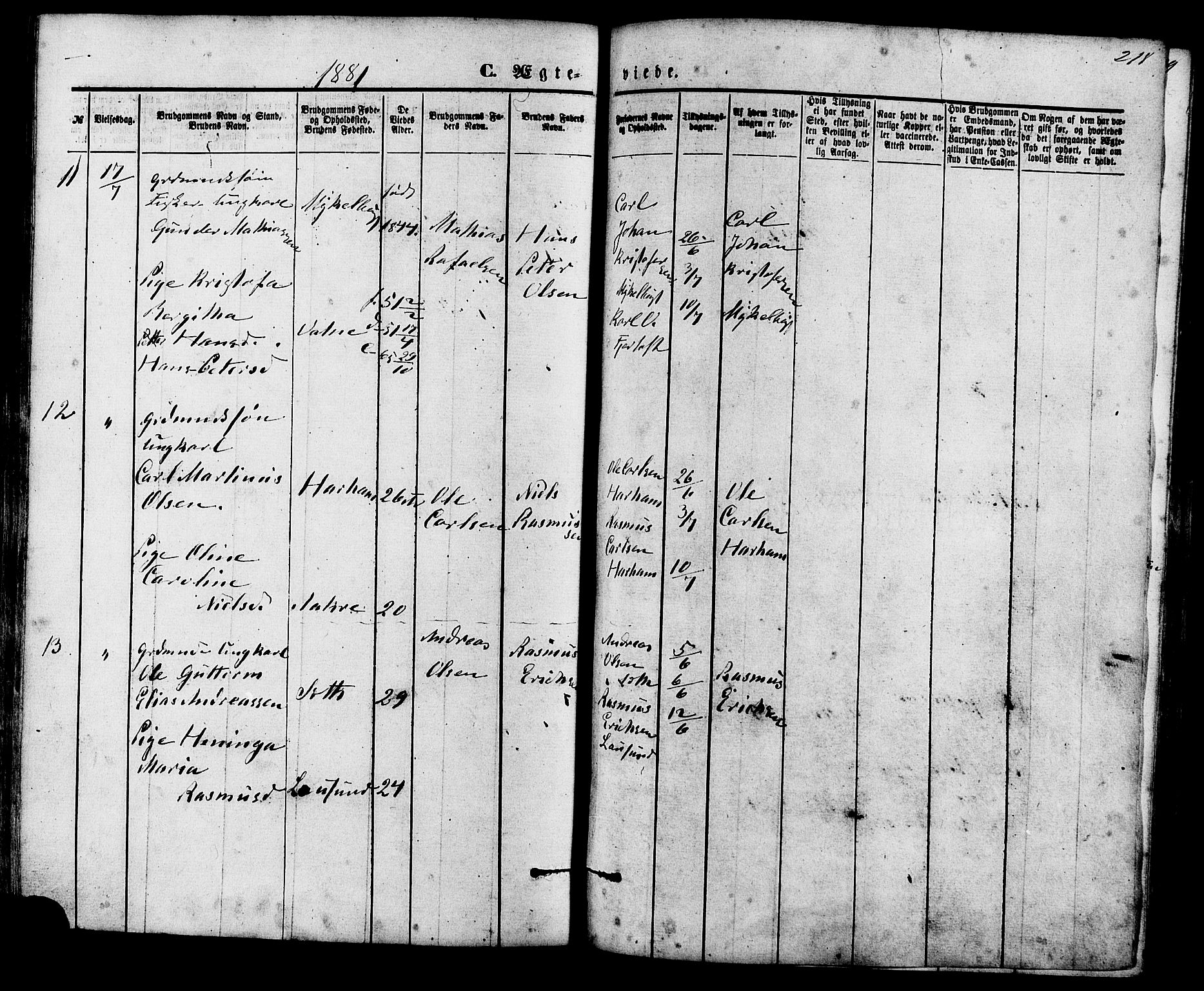 Ministerialprotokoller, klokkerbøker og fødselsregistre - Møre og Romsdal, AV/SAT-A-1454/536/L0500: Parish register (official) no. 536A09, 1876-1889, p. 218