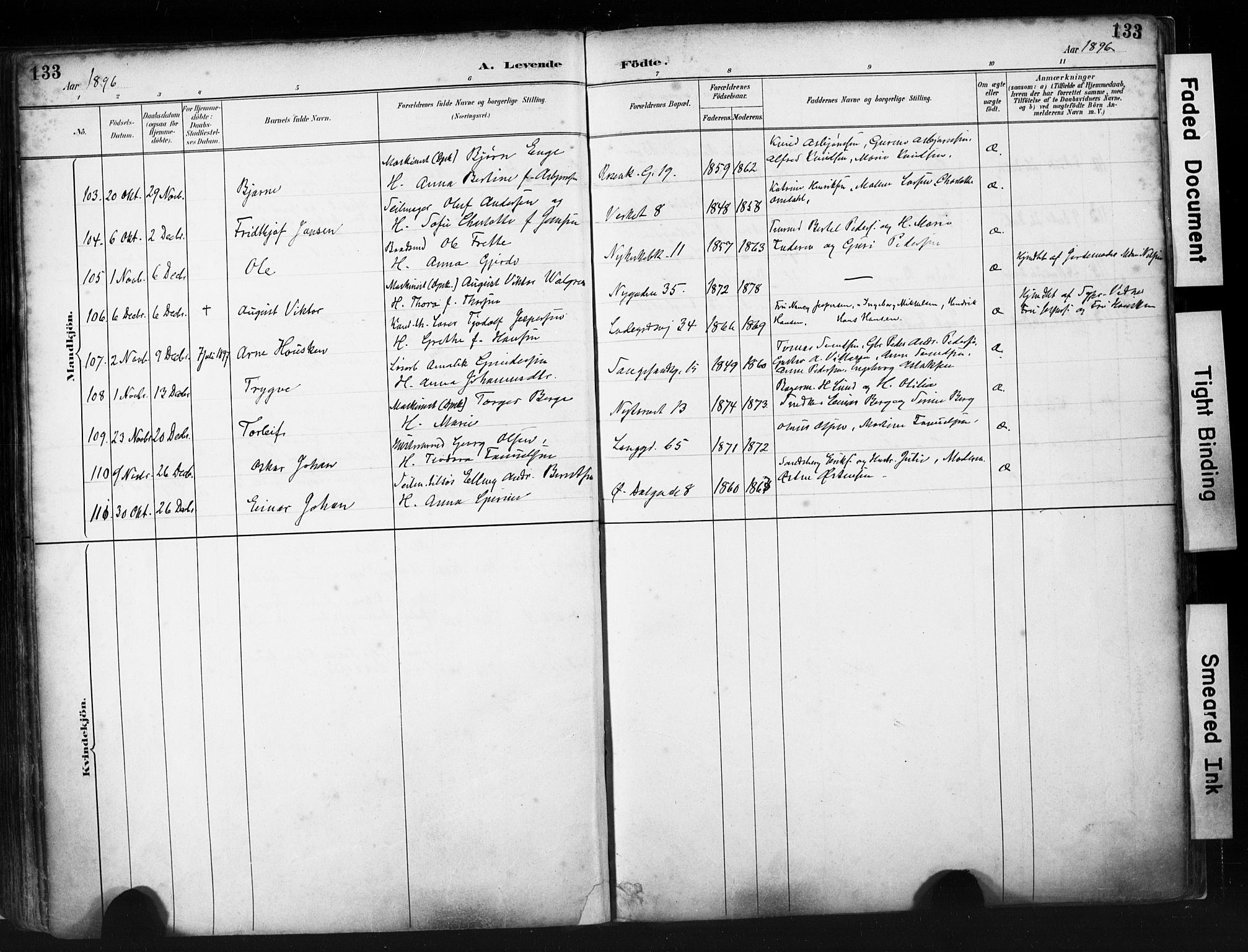 St. Petri sokneprestkontor, AV/SAST-A-101813/001/30/30BA/L0019: Parish register (official) no. A 20, 1888-1901, p. 133