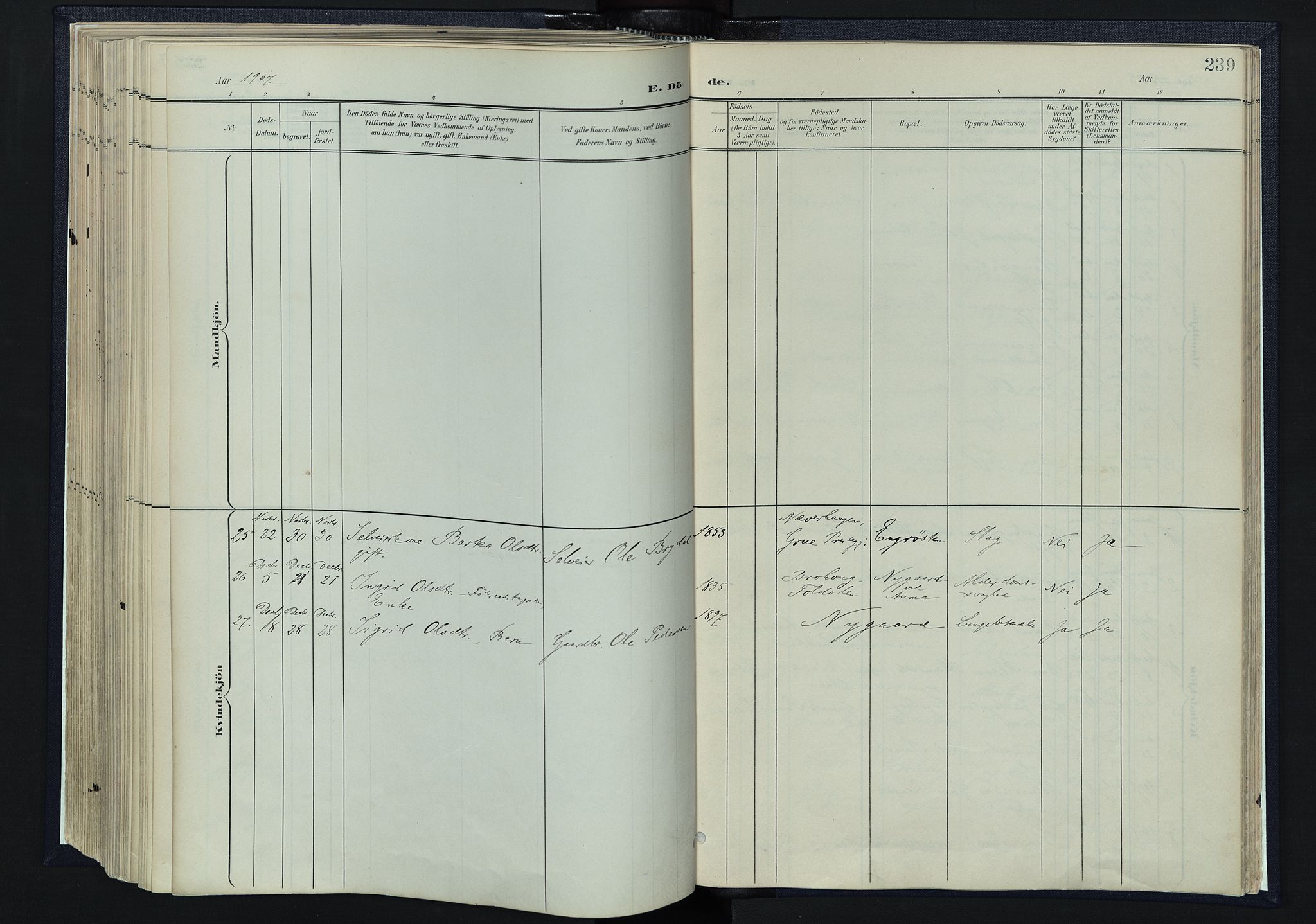 Tynset prestekontor, SAH/PREST-058/H/Ha/Haa/L0025: Parish register (official) no. 25, 1900-1914, p. 239