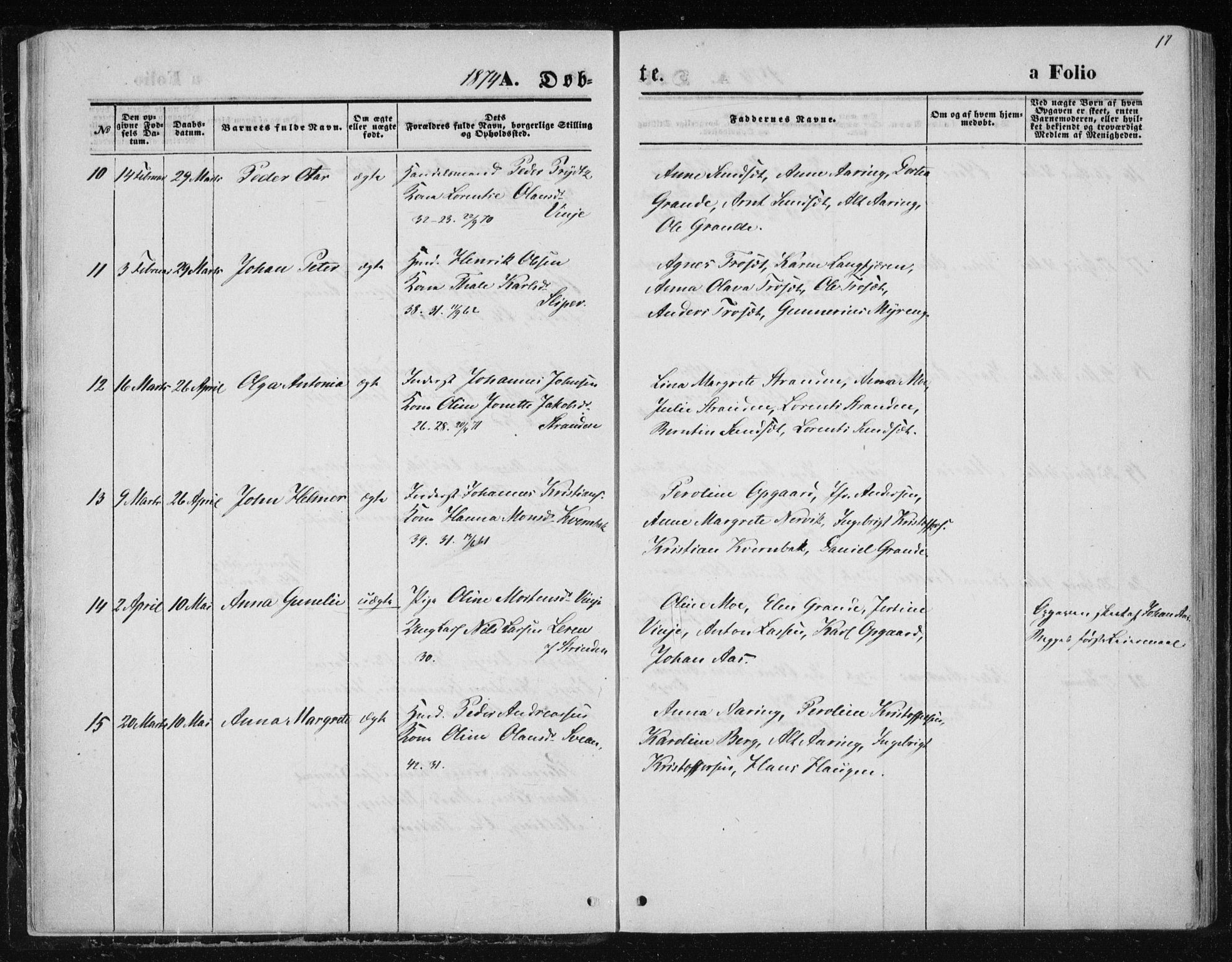 Ministerialprotokoller, klokkerbøker og fødselsregistre - Nord-Trøndelag, AV/SAT-A-1458/733/L0324: Parish register (official) no. 733A03, 1870-1883, p. 17