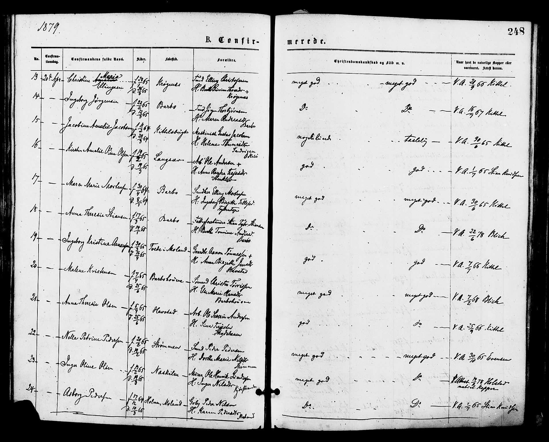 Barbu sokneprestkontor, AV/SAK-1111-0003/F/Fa/L0001: Parish register (official) no. A 1 /1, 1878-1883, p. 248