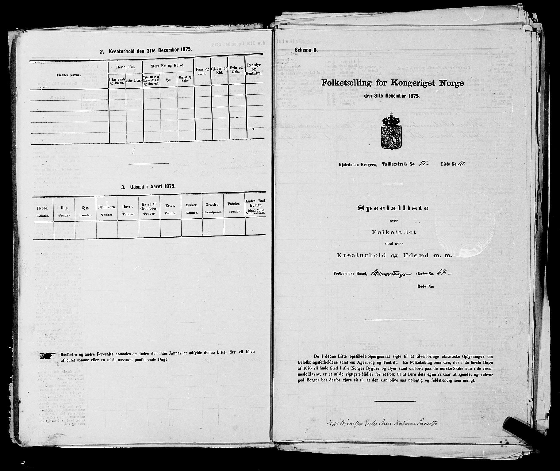 SAKO, 1875 census for 0801P Kragerø, 1875, p. 1141