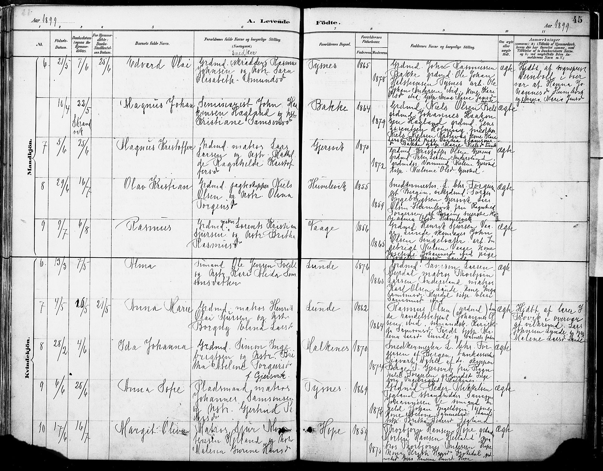 Tysnes sokneprestembete, AV/SAB-A-78601/H/Haa: Parish register (official) no. B 1, 1887-1906, p. 45