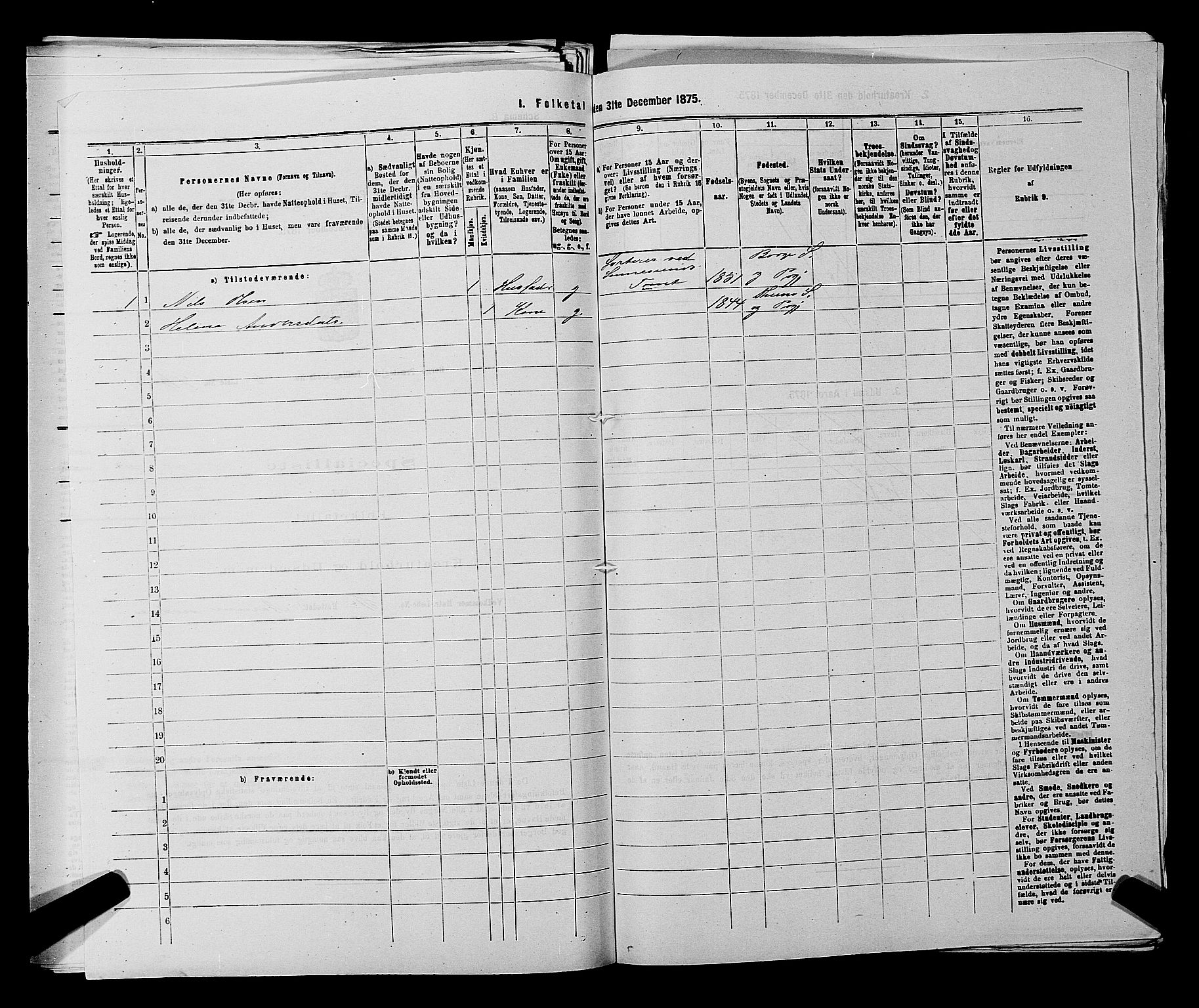 RA, 1875 census for 0113P Borge, 1875, p. 785