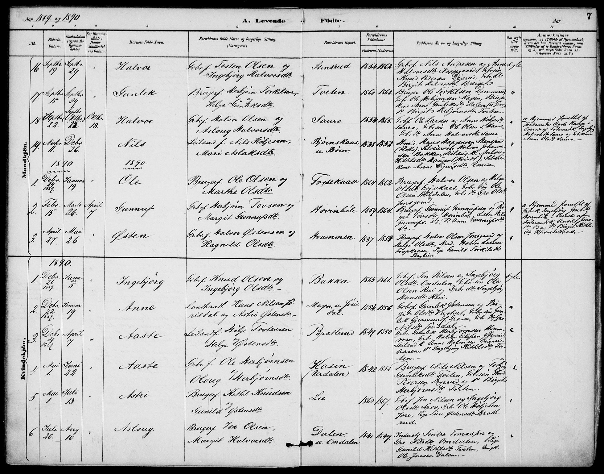 Gransherad kirkebøker, SAKO/A-267/F/Fb/L0005: Parish register (official) no. II 5, 1887-1916, p. 7