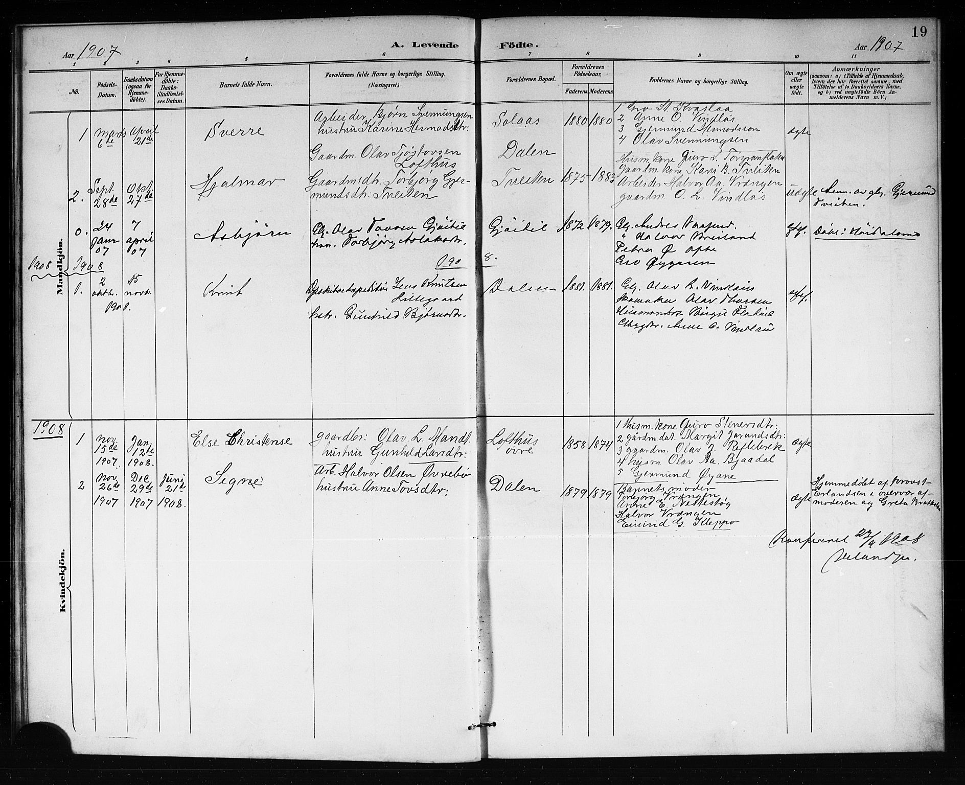 Lårdal kirkebøker, SAKO/A-284/G/Gb/L0003: Parish register (copy) no. II 3, 1889-1920, p. 19