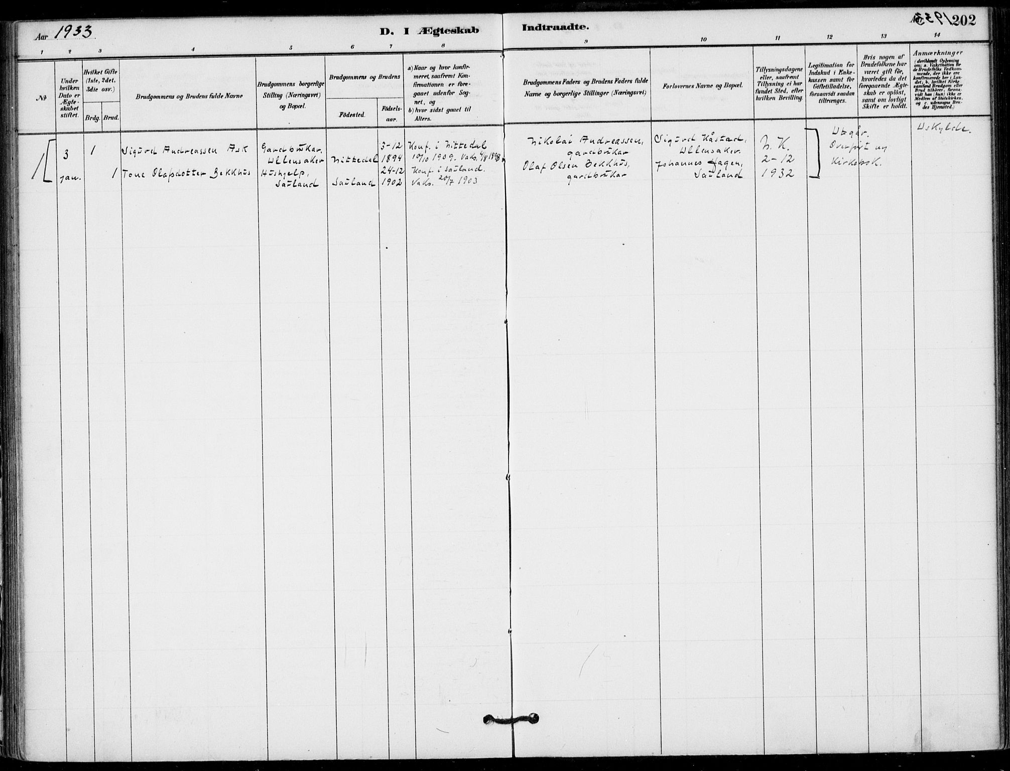 Hjartdal kirkebøker, SAKO/A-270/F/Fb/L0002: Parish register (official) no. II 2, 1880-1932, p. 202