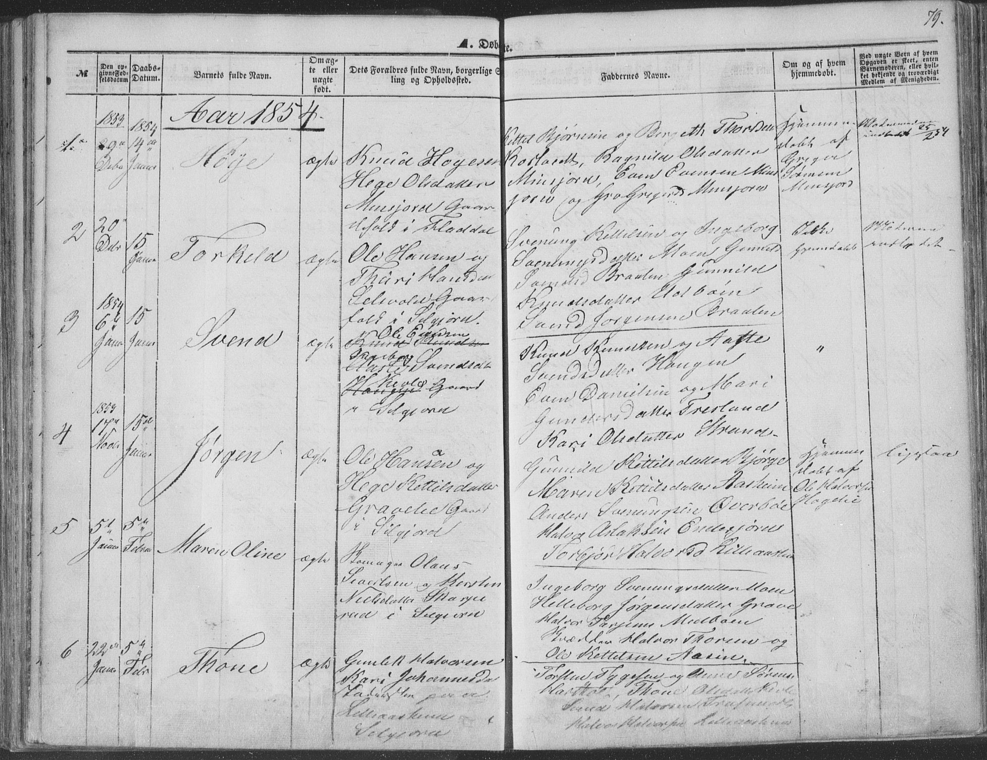 Seljord kirkebøker, SAKO/A-20/F/Fa/L012a: Parish register (official) no. I 12A, 1850-1865, p. 79