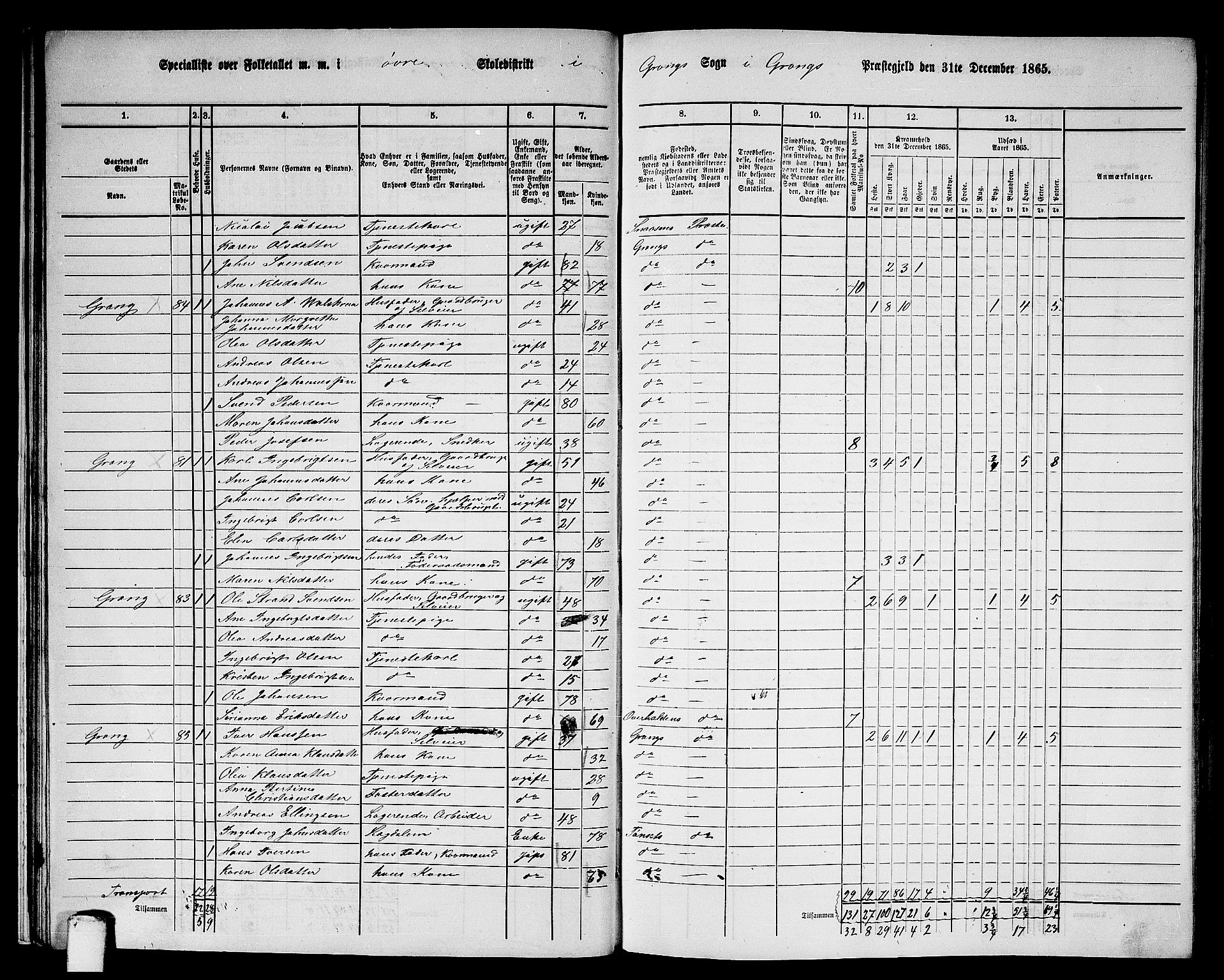 RA, 1865 census for Grong, 1865, p. 29