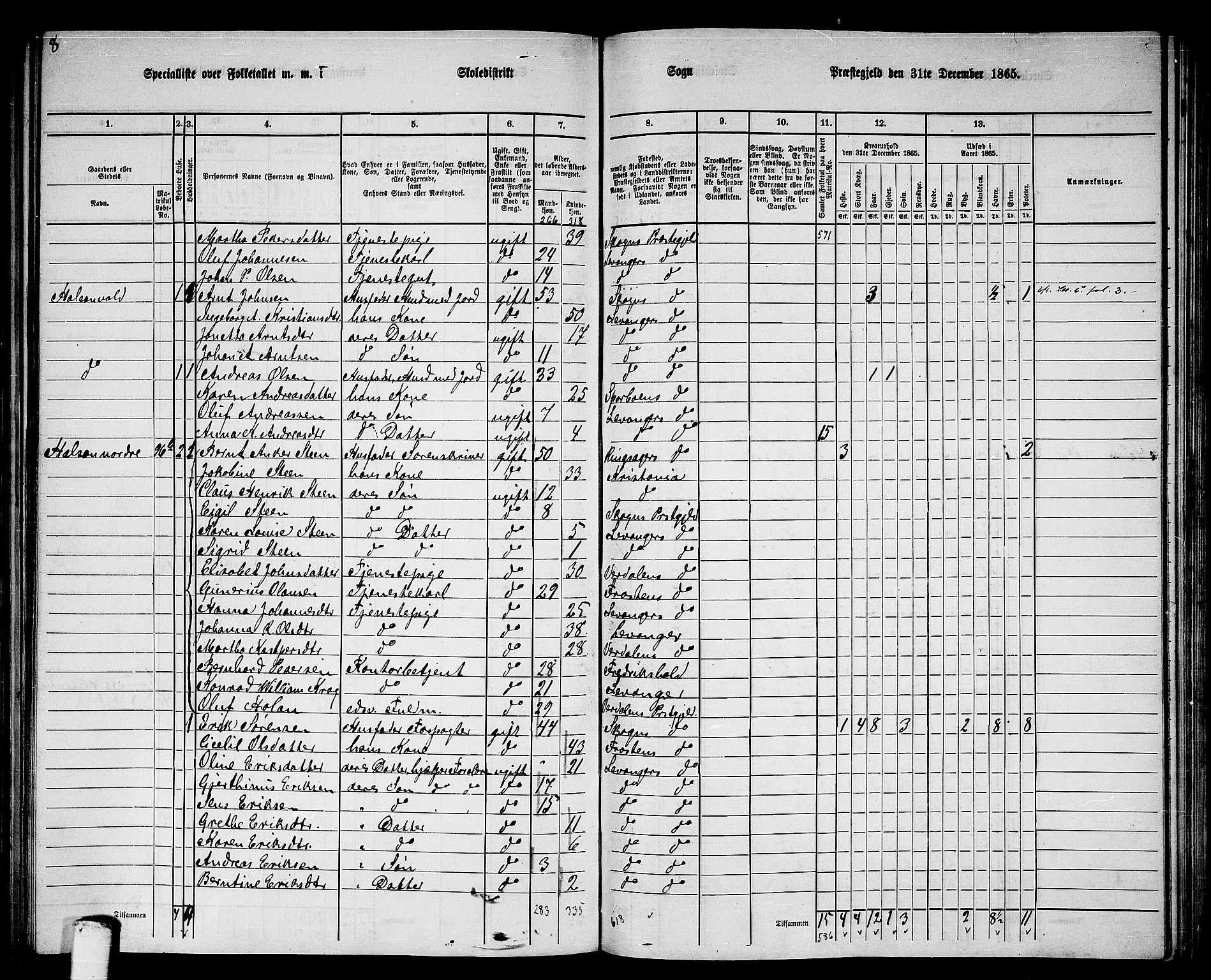 RA, 1865 census for Levanger/Levanger, 1865, p. 47