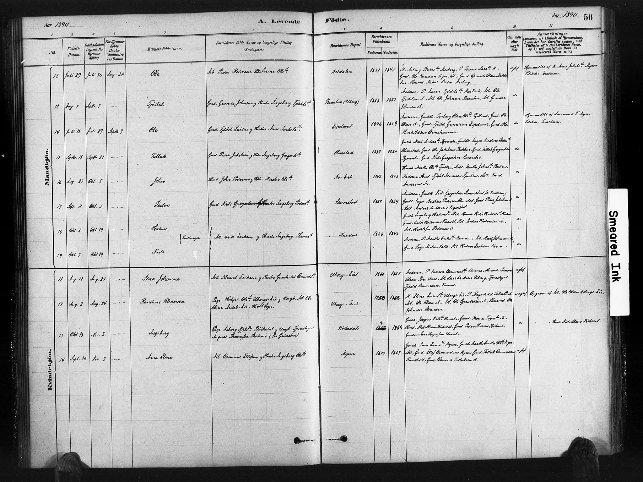 Gjerstad sokneprestkontor, AV/SAK-1111-0014/F/Fa/Fab/L0004: Parish register (official) no. A 4, 1879-1890, p. 56