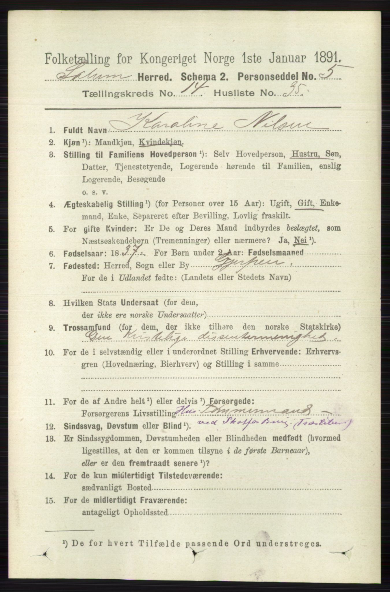 RA, 1891 census for 0818 Solum, 1891, p. 6606