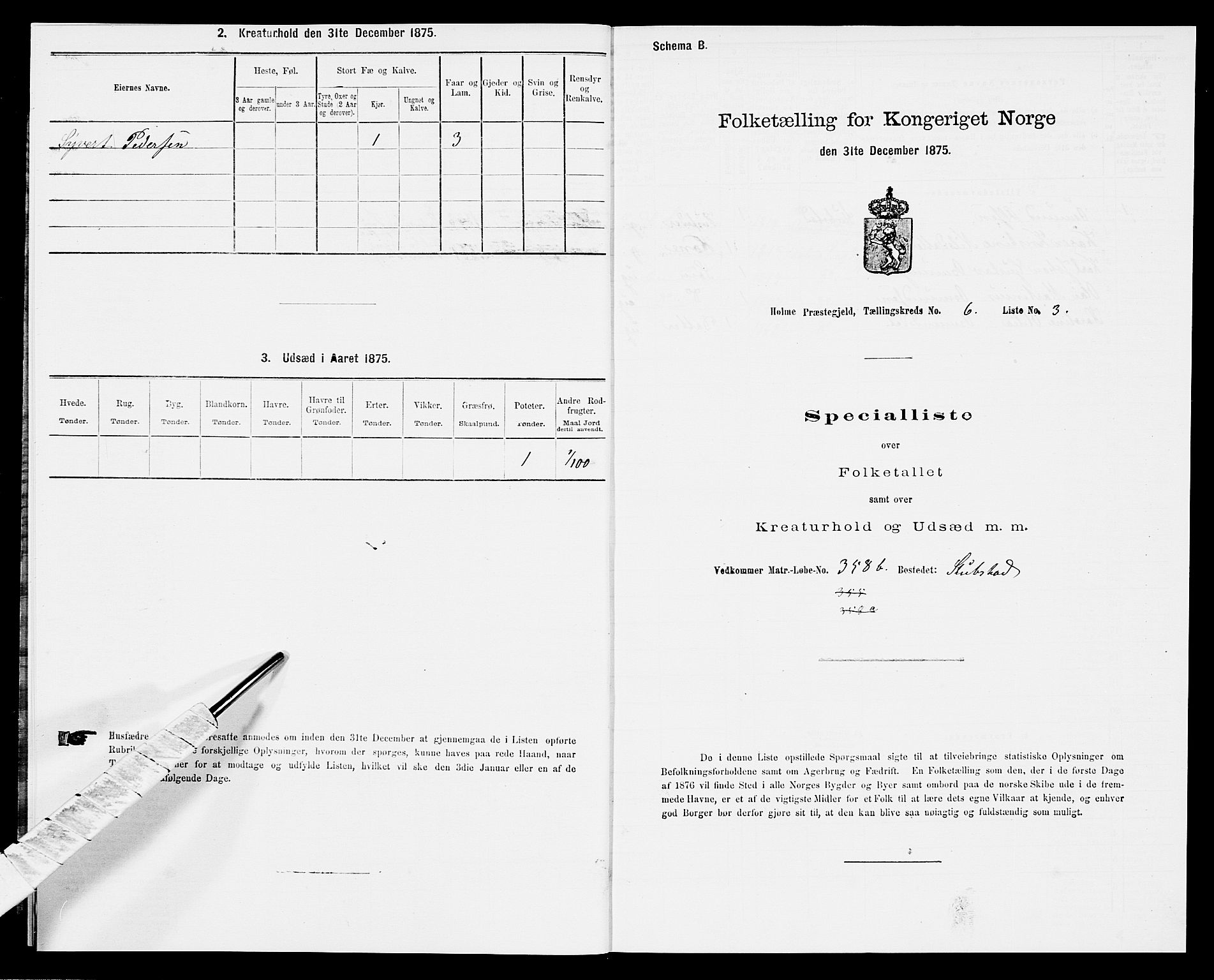 SAK, 1875 census for 1020P Holum, 1875, p. 577