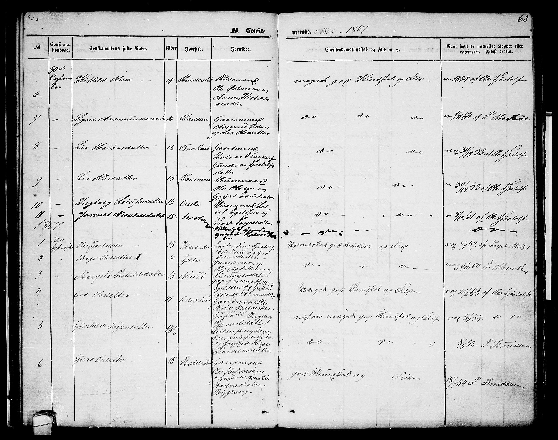Lårdal kirkebøker, SAKO/A-284/G/Gc/L0002: Parish register (copy) no. III 2, 1852-1877, p. 63