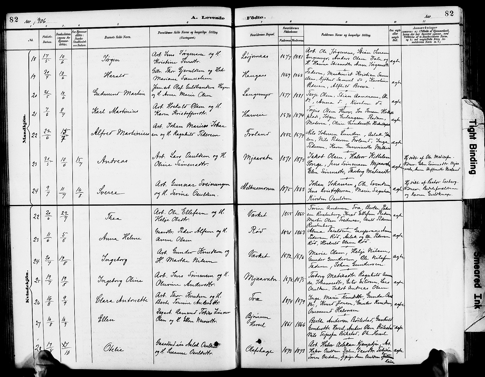 Froland sokneprestkontor, AV/SAK-1111-0013/F/Fb/L0010: Parish register (copy) no. B 10, 1893-1920, p. 82