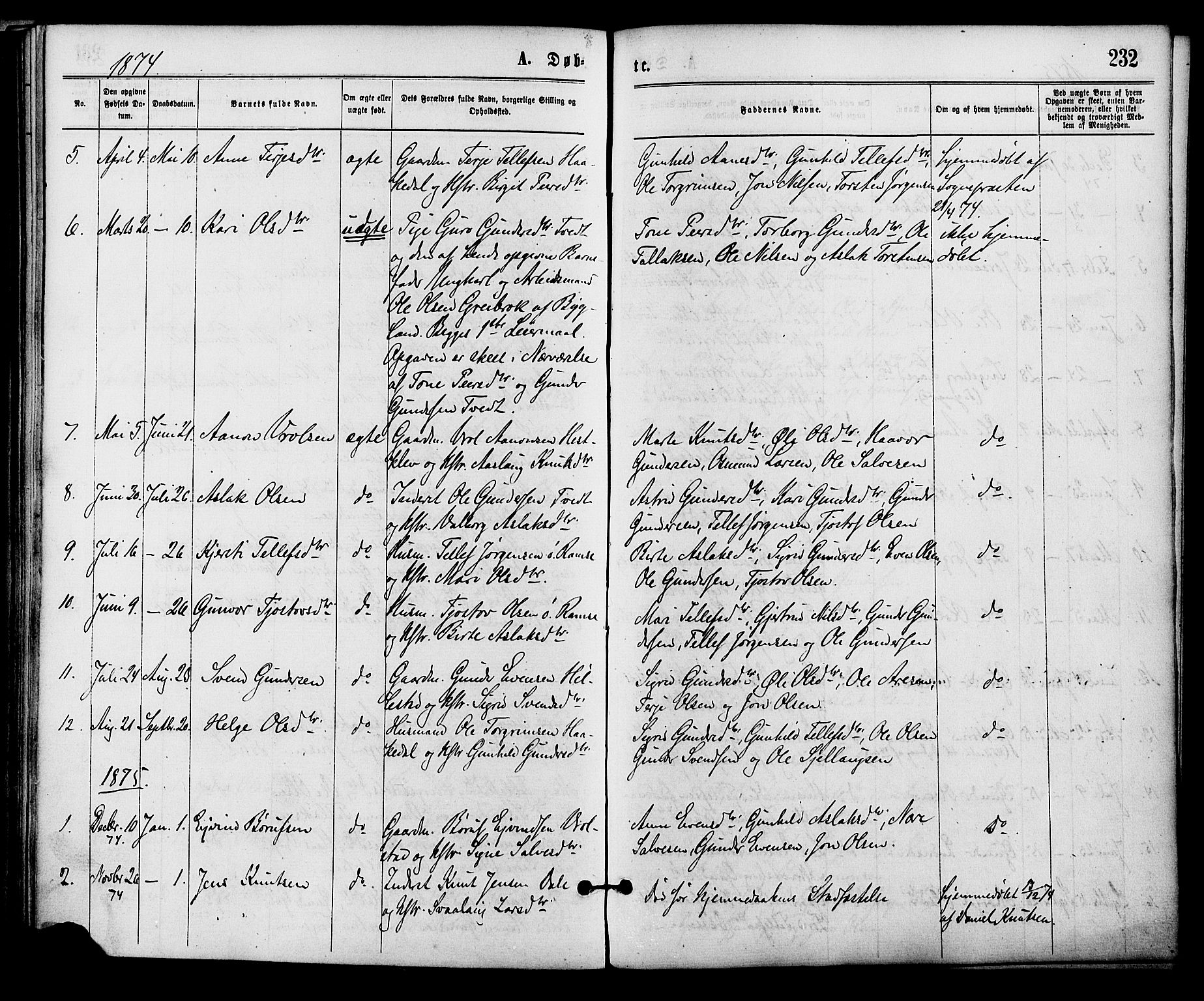Åmli sokneprestkontor, SAK/1111-0050/F/Fa/Fac/L0009: Parish register (official) no. A 9 /3, 1869-1884, p. 232