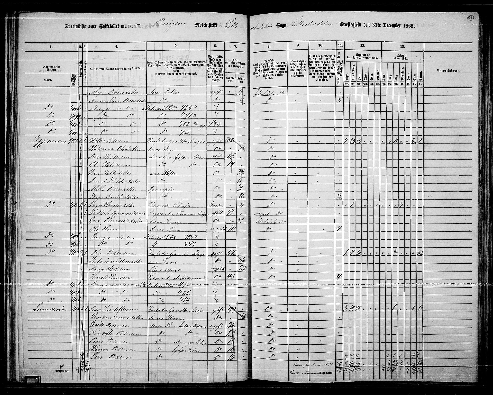 RA, 1865 census for Lille Elvedalen, 1865, p. 57