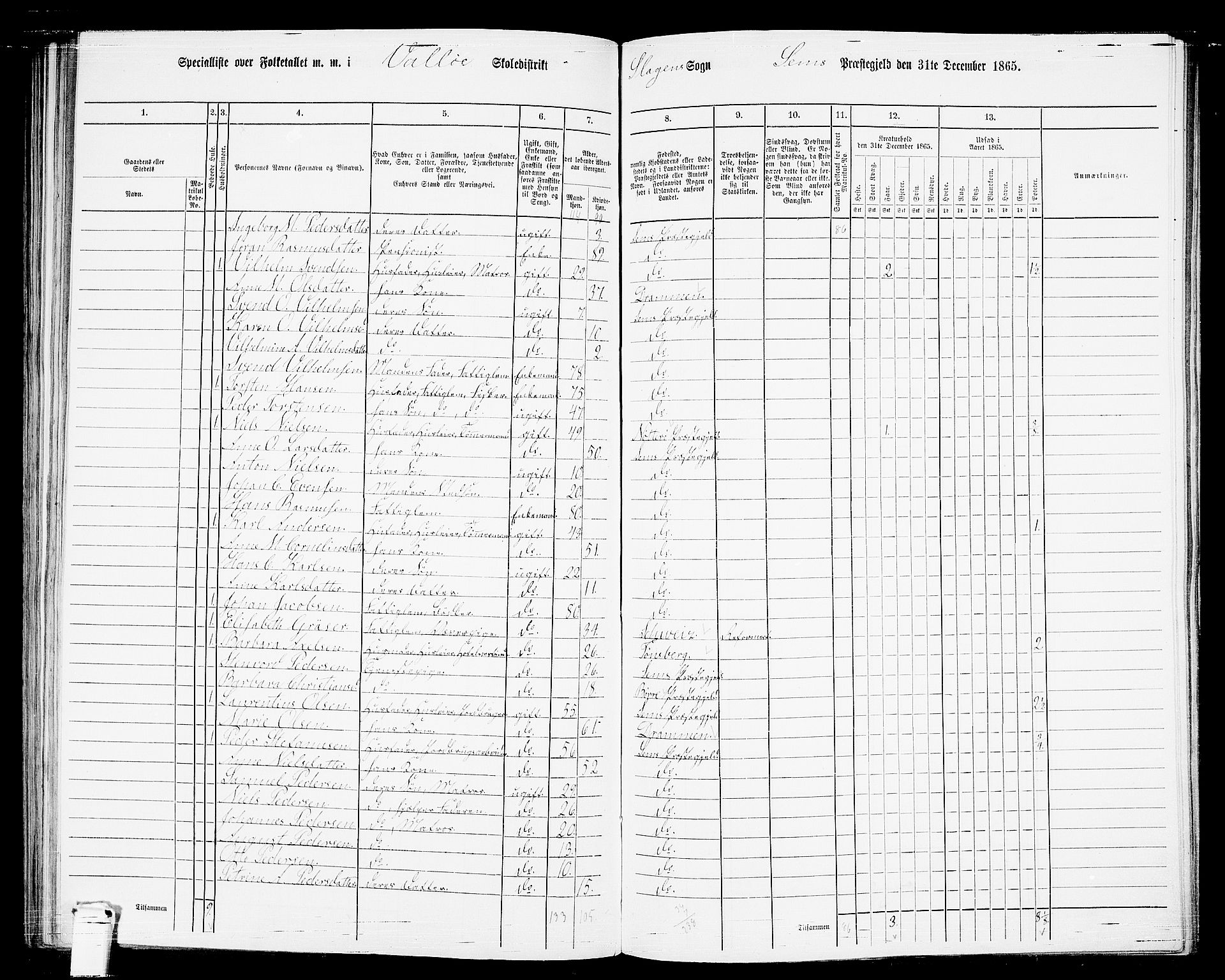 RA, 1865 census for Sem, 1865, p. 162