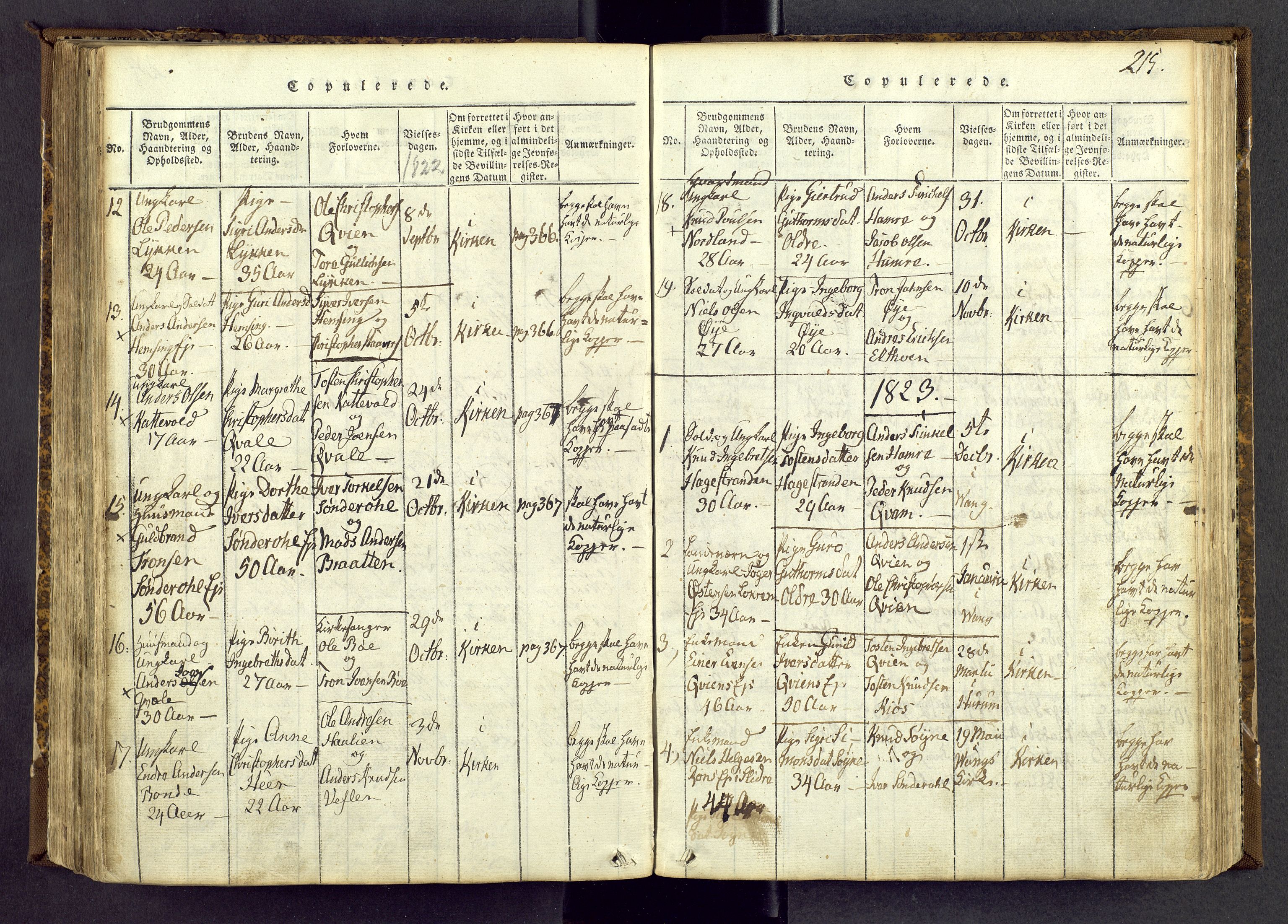 Vang prestekontor, Valdres, SAH/PREST-140/H/Ha/L0004: Parish register (official) no. 4, 1814-1831, p. 215