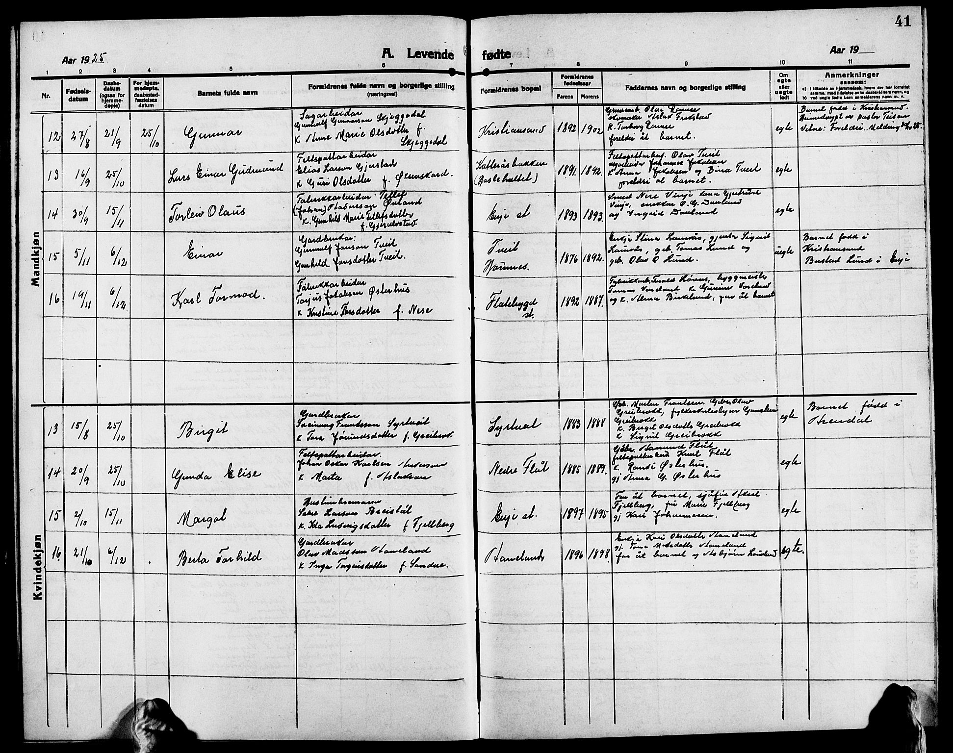 Evje sokneprestkontor, SAK/1111-0008/F/Fb/Fba/L0005: Parish register (copy) no. B 5, 1914-1926, p. 41