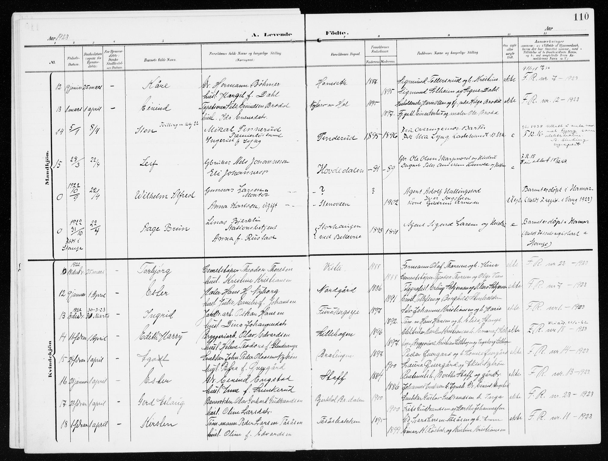 Furnes prestekontor, SAH/PREST-012/K/Ka/L0001: Parish register (official) no. 1, 1907-1935, p. 110