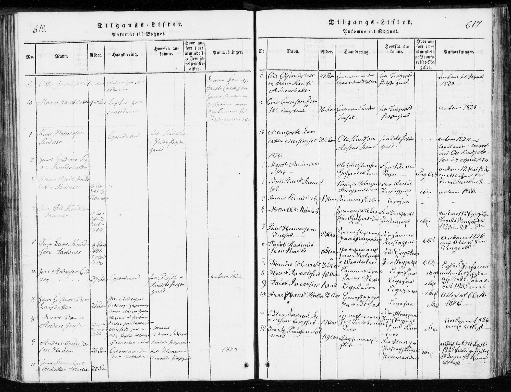 Ministerialprotokoller, klokkerbøker og fødselsregistre - Møre og Romsdal, SAT/A-1454/551/L0623: Parish register (official) no. 551A03, 1818-1831, p. 616-617
