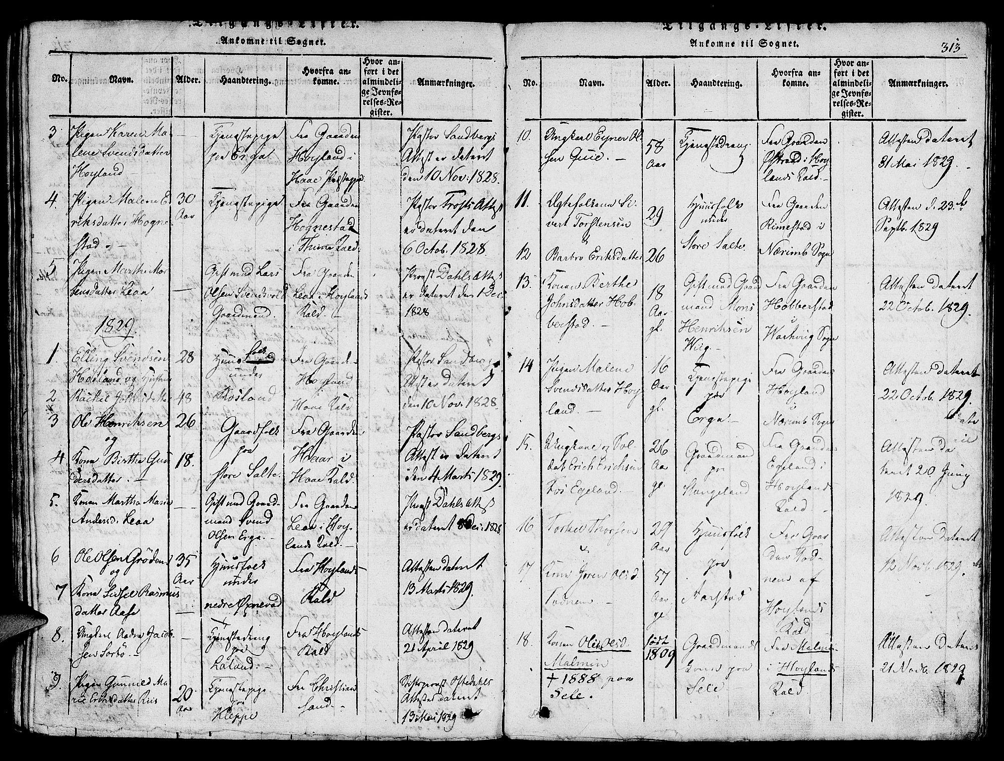 Klepp sokneprestkontor, SAST/A-101803/001/3/30BA/L0002: Parish register (official) no. A 2, 1816-1833, p. 313