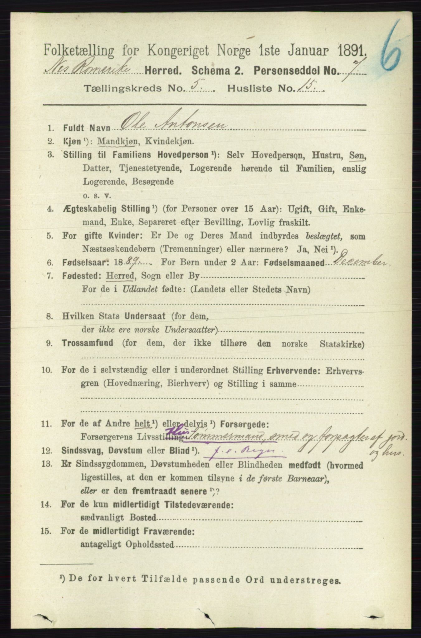 RA, 1891 census for 0236 Nes, 1891, p. 2877