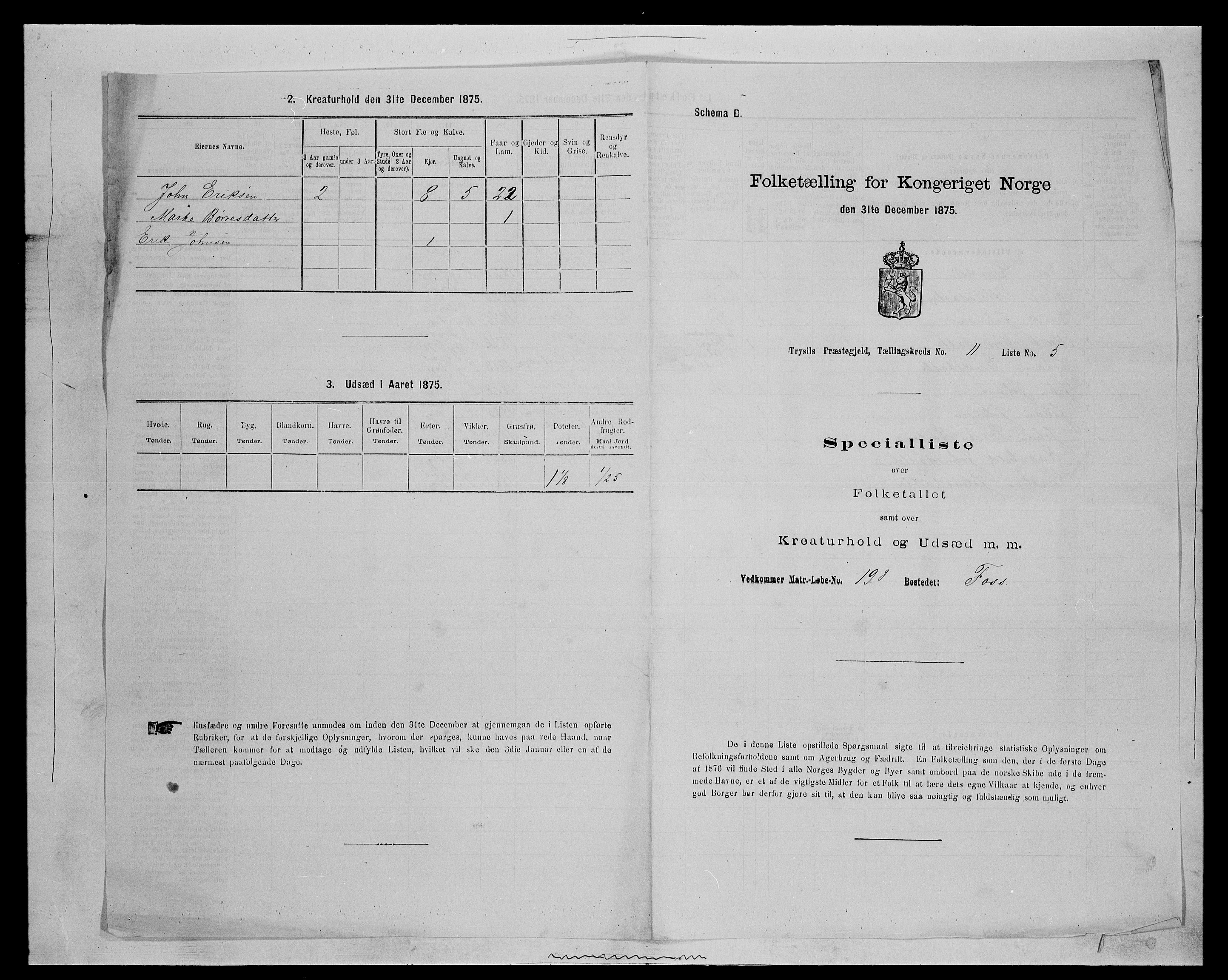 SAH, 1875 census for 0428P Trysil, 1875, p. 1233