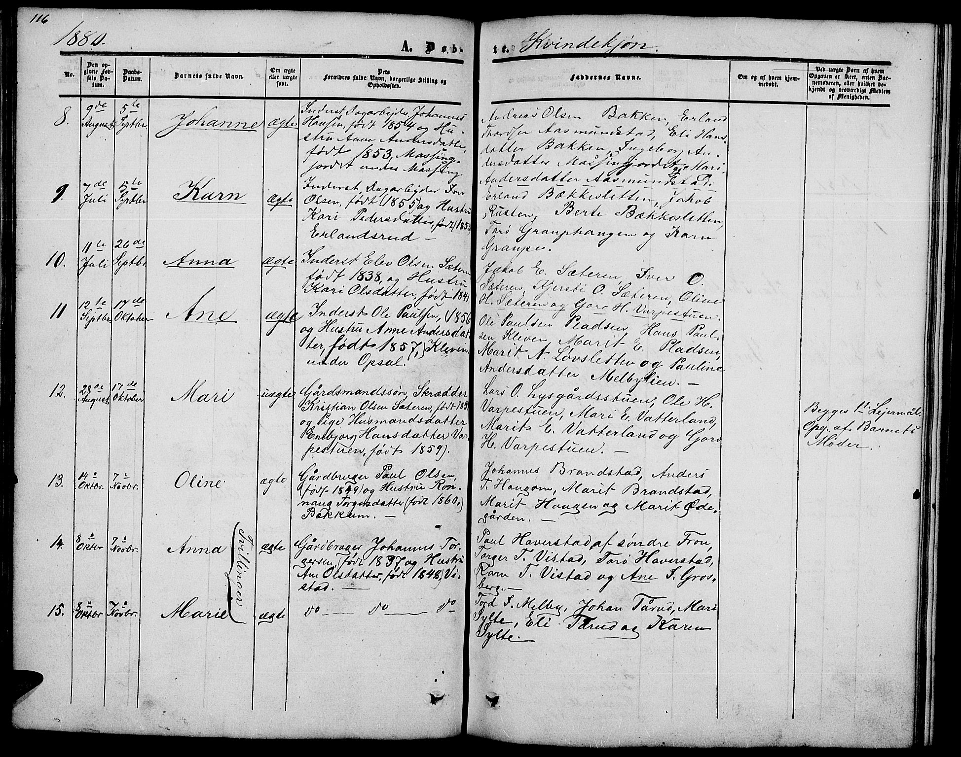 Nord-Fron prestekontor, SAH/PREST-080/H/Ha/Hab/L0002: Parish register (copy) no. 2, 1851-1883, p. 116