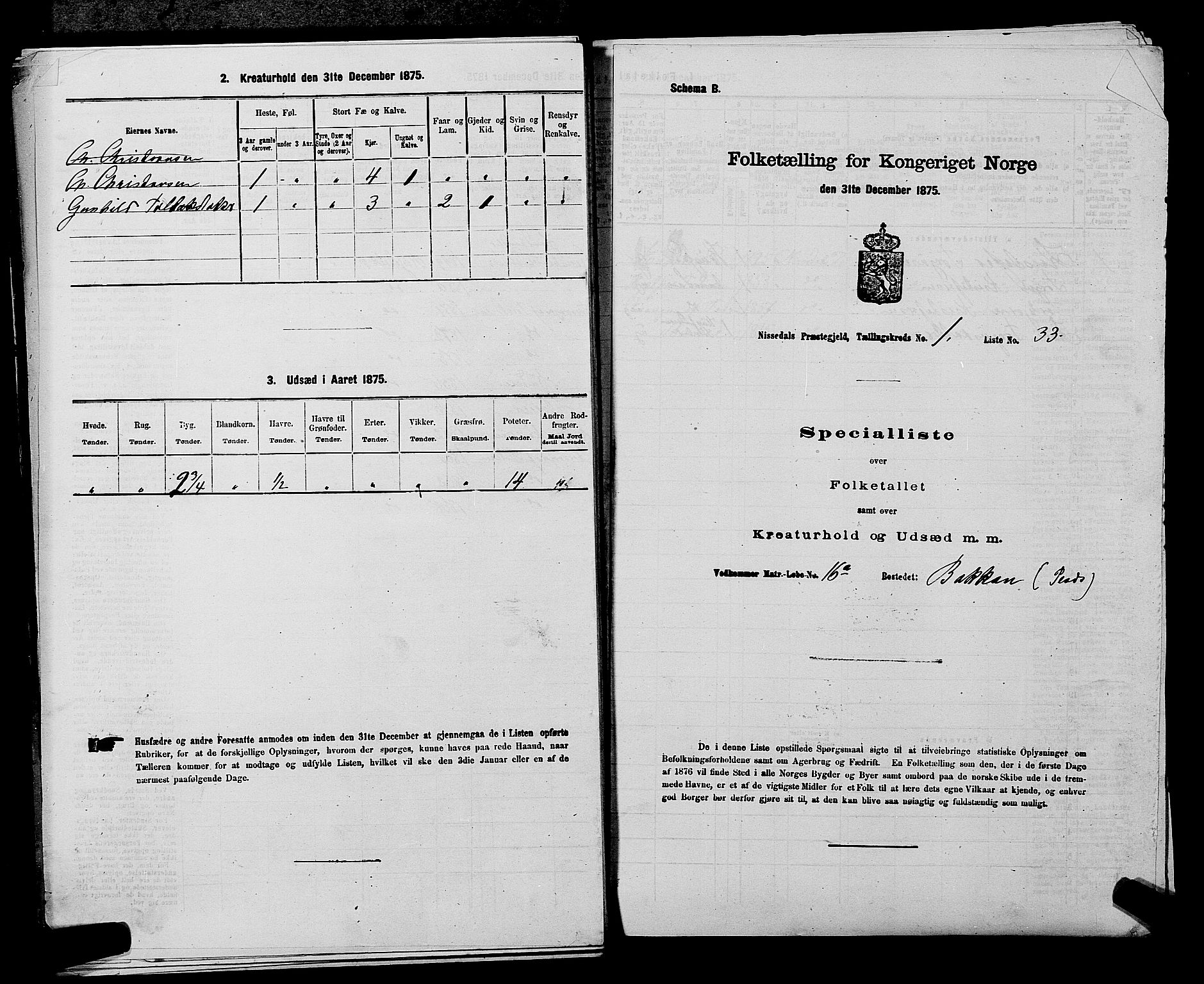 SAKO, 1875 census for 0830P Nissedal, 1875, p. 99