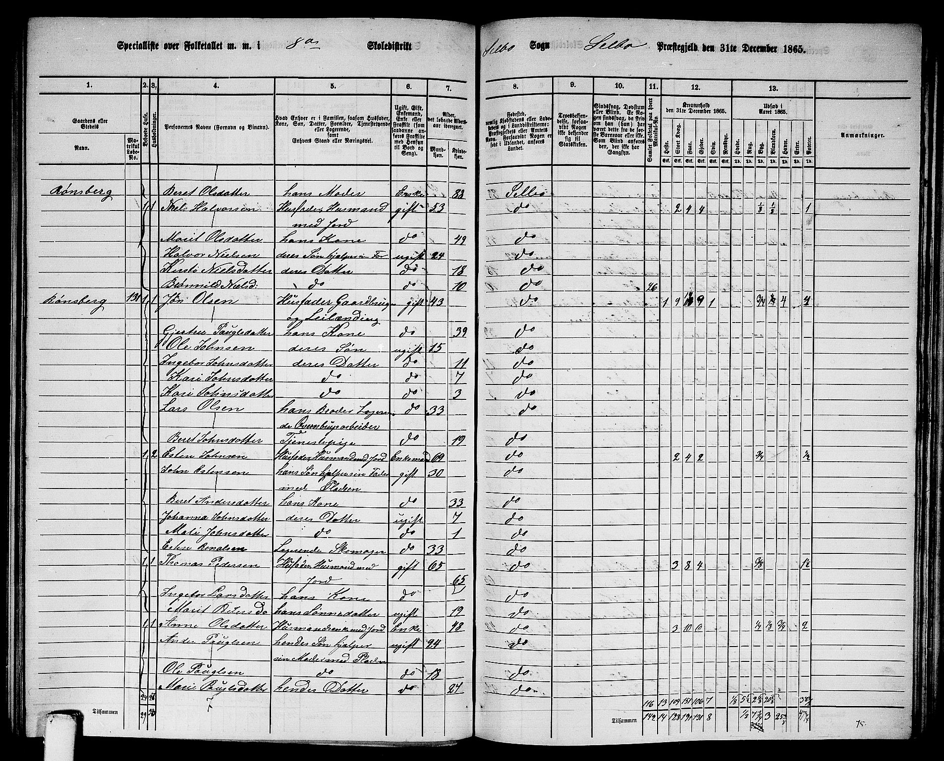 RA, 1865 census for Selbu, 1865, p. 139