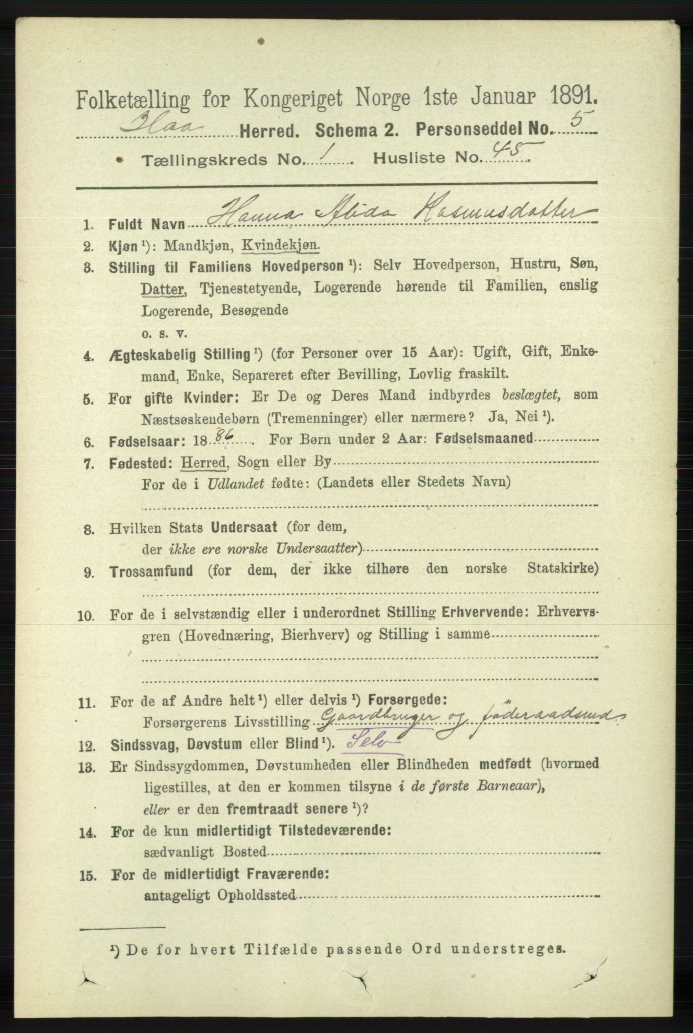 RA, 1891 census for 1119 Hå, 1891, p. 315