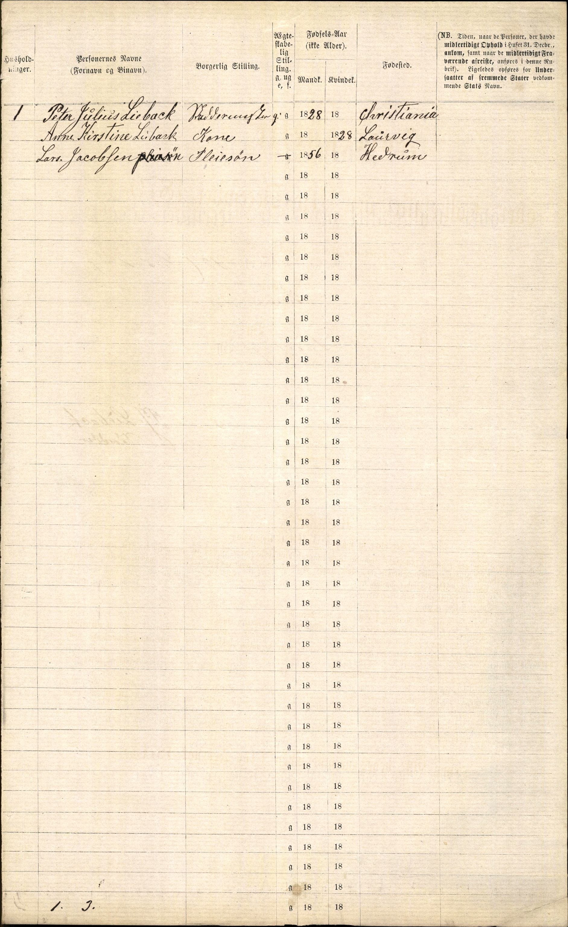 RA, 1870 census for 0707 Larvik, 1870, p. 90