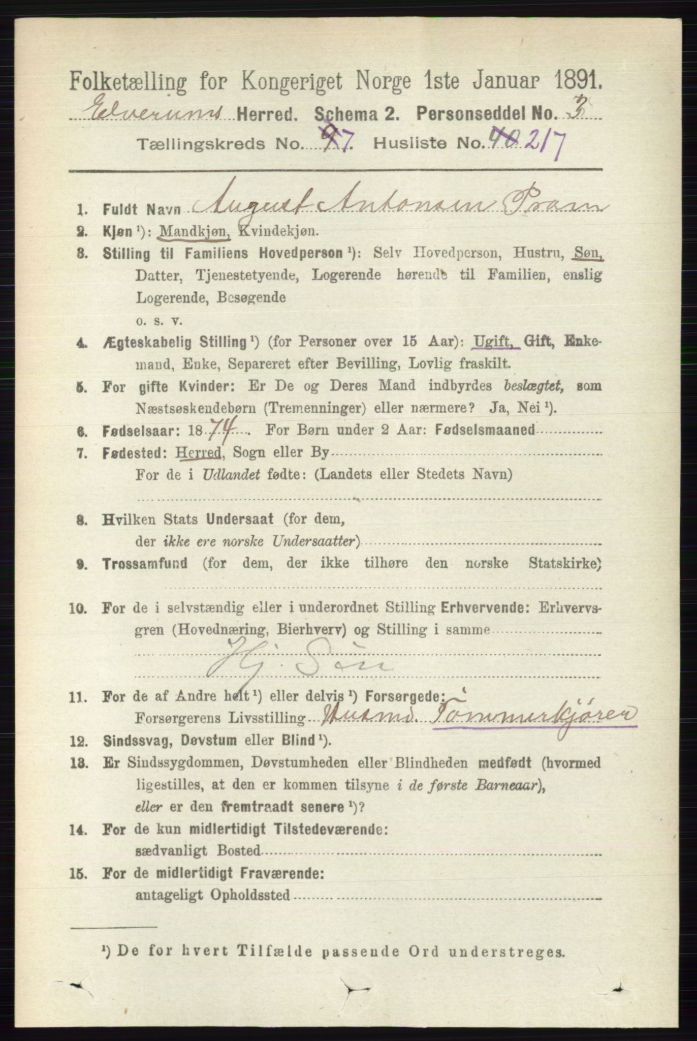 RA, 1891 census for 0427 Elverum, 1891, p. 6907