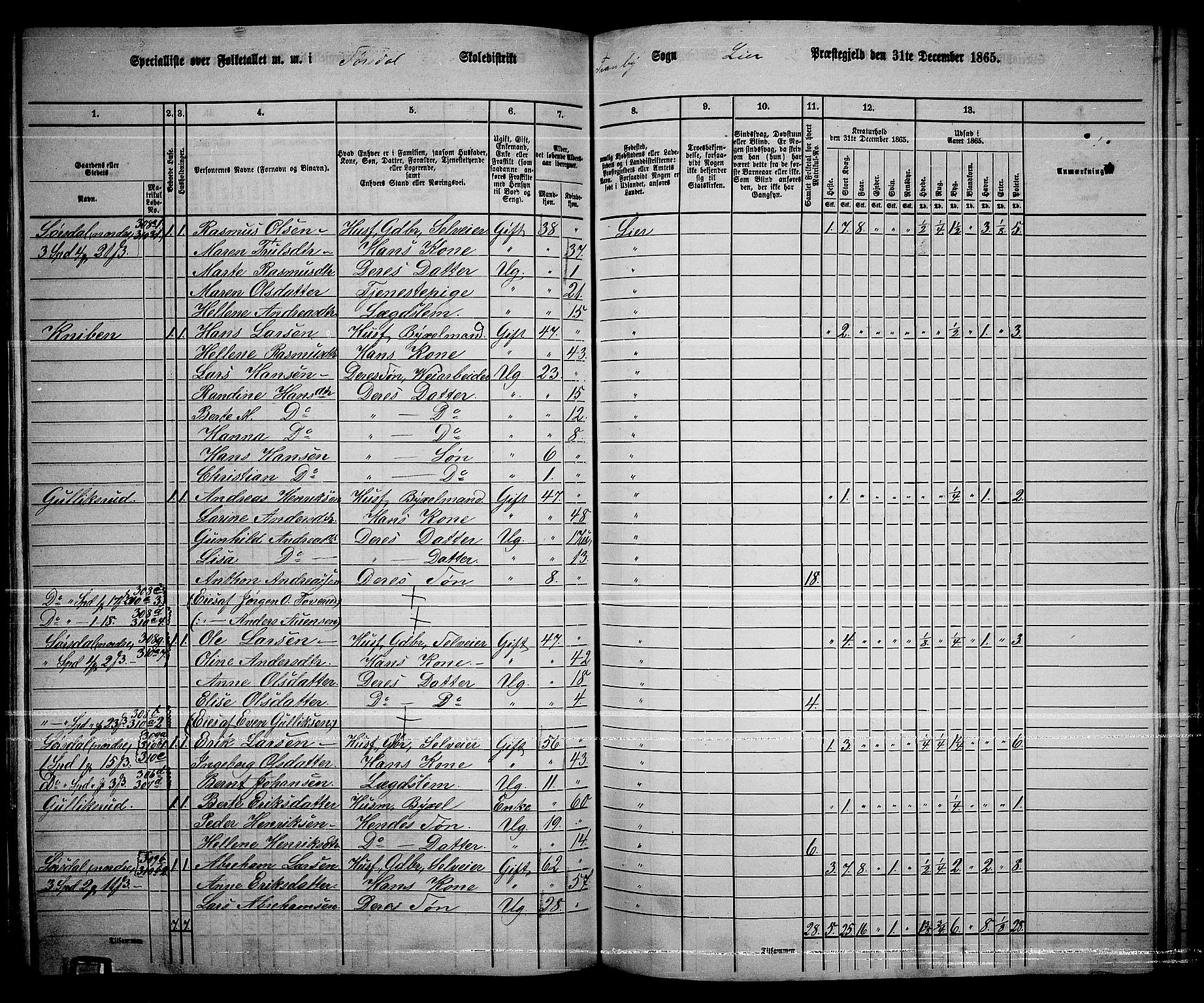 RA, 1865 census for Lier, 1865, p. 167
