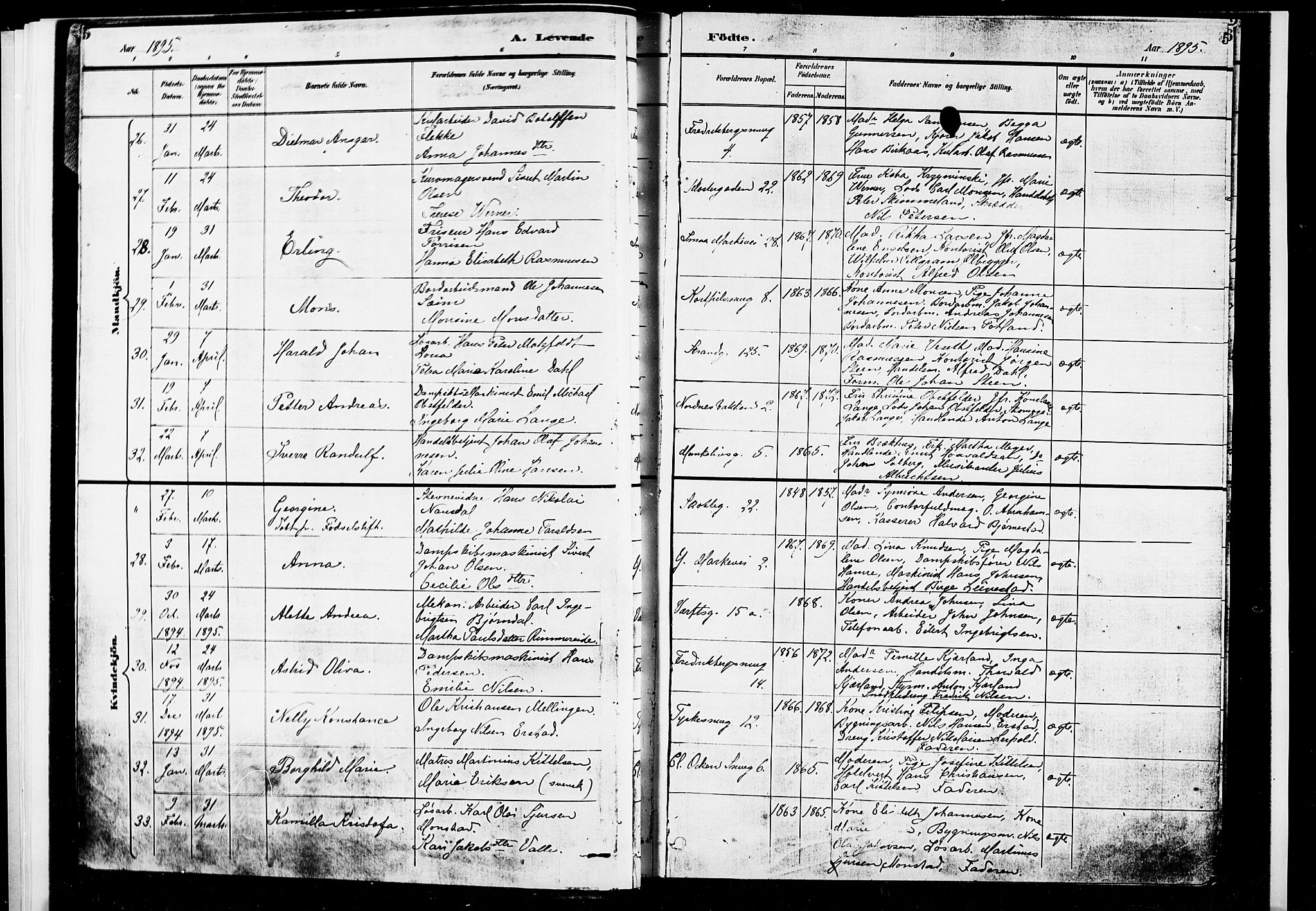 Nykirken Sokneprestembete, AV/SAB-A-77101/H/Hab: Parish register (copy) no. B 3, 1895-1899, p. 5