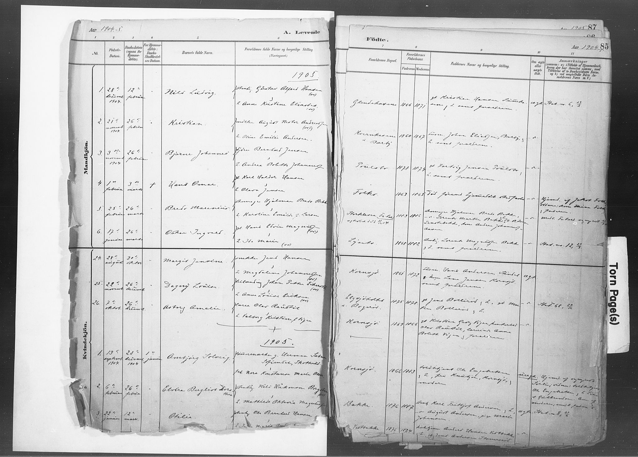 Idd prestekontor Kirkebøker, SAO/A-10911/F/Fb/L0002: Parish register (official) no. II 2, 1882-1923, p. 85