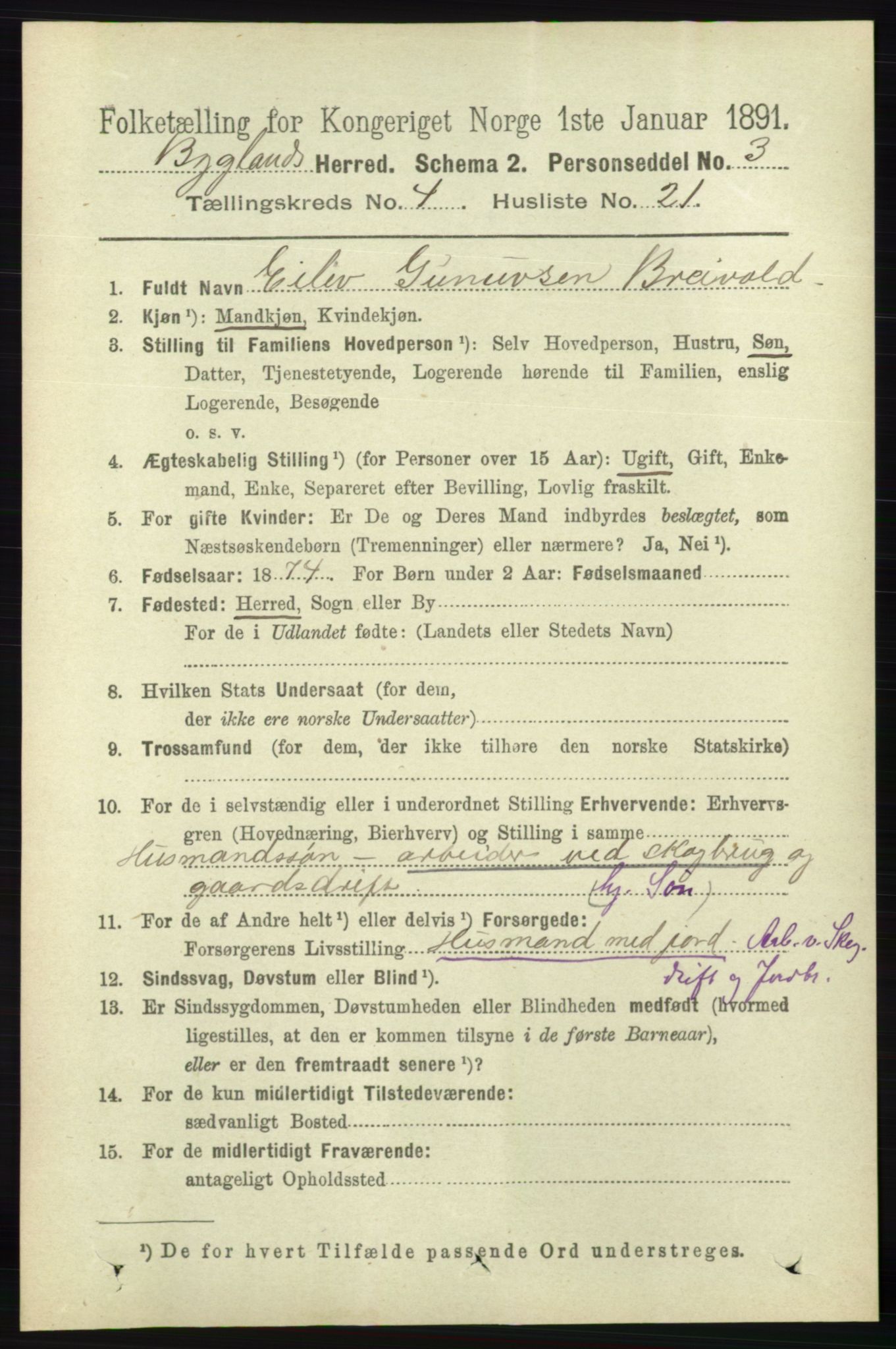 RA, 1891 census for 0938 Bygland, 1891, p. 991